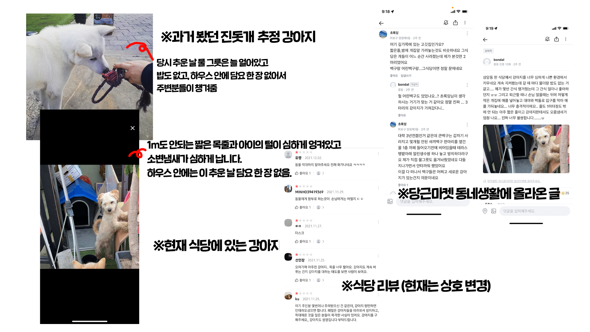 서울 상암 식당에서 방치 학대 당하는 강아지 구해주세요. 제발