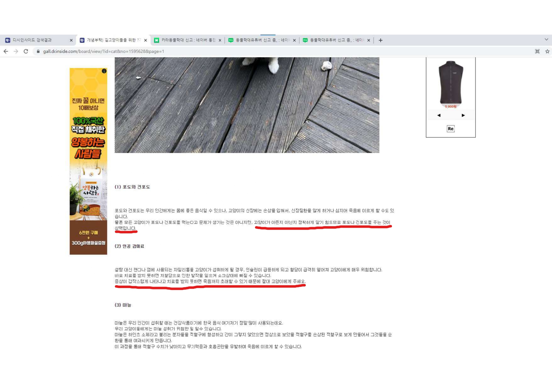 동물학대방법 공유및 유포(파일누락으로 수정하여 다시작성함)