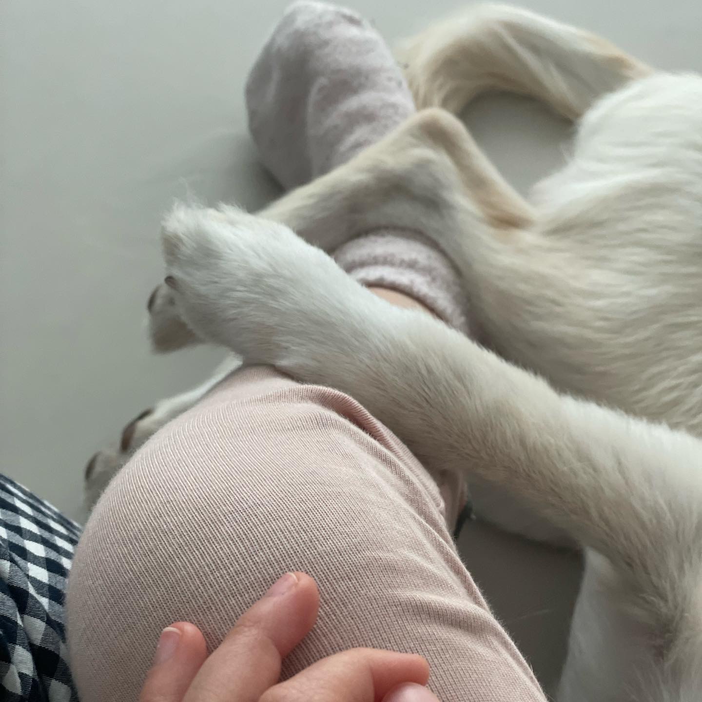 하트니(무사) 두번째 이야기