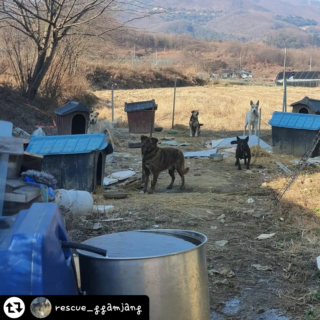 영양실조상태로 방치된 아이들을 도와주세요!!