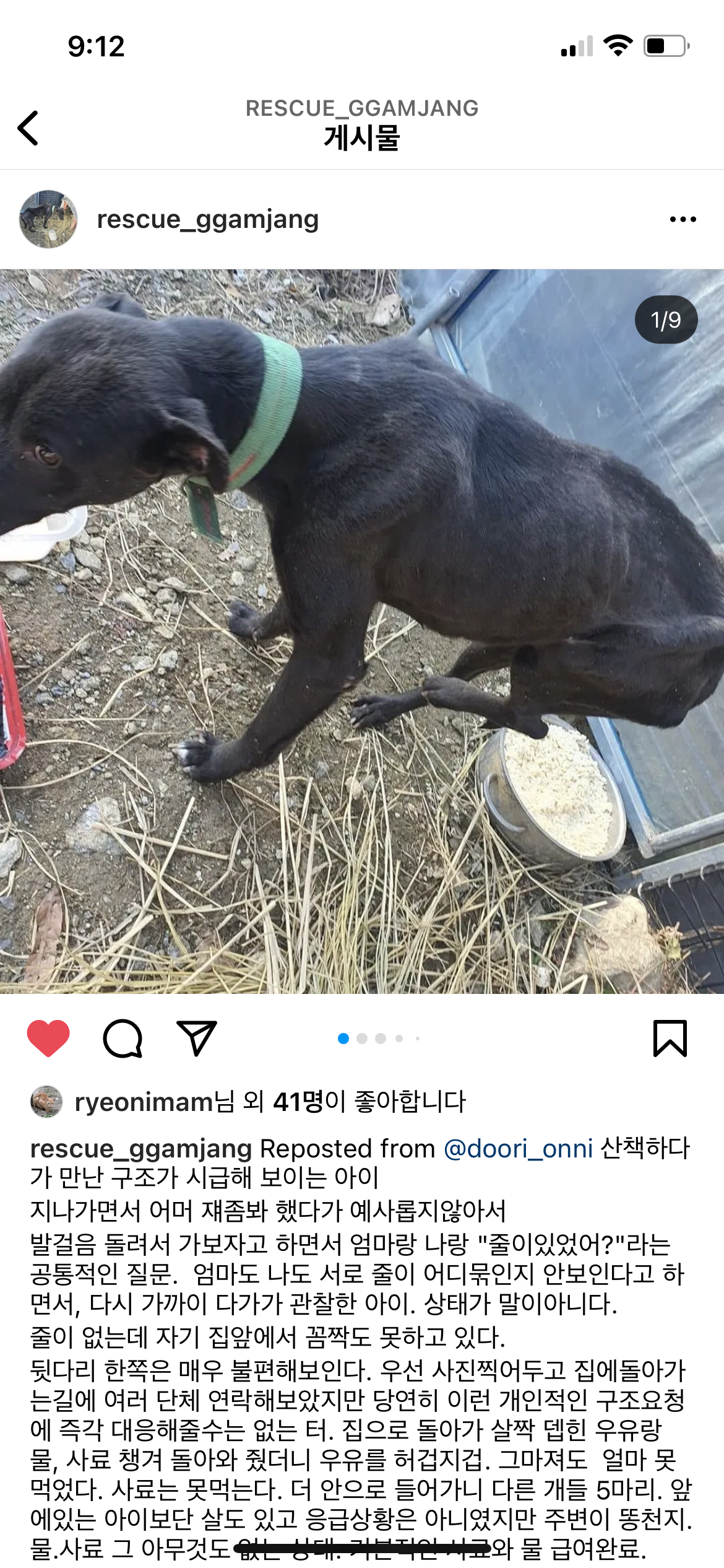 [긴급]여주 깜장이외 긴급구조요청합니다