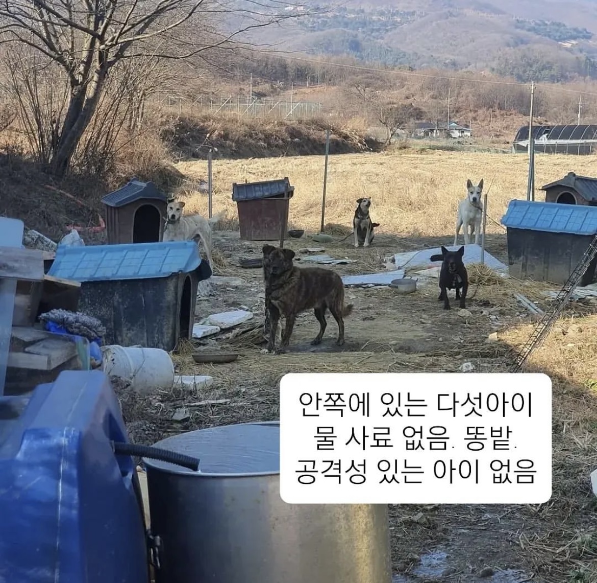 깜장이와 친구들의 구조를 부탁드립니다.