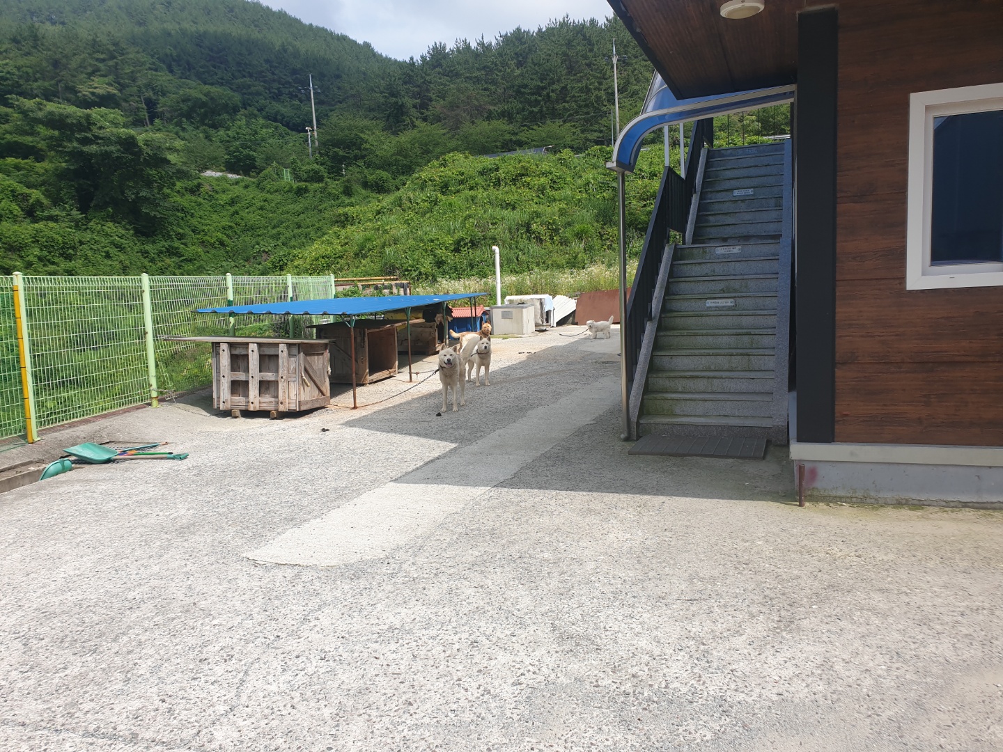 도와주세요.