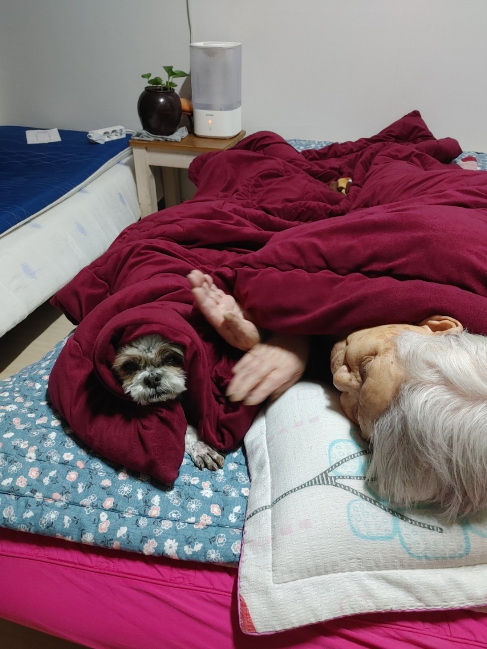 오리 입양 2주차