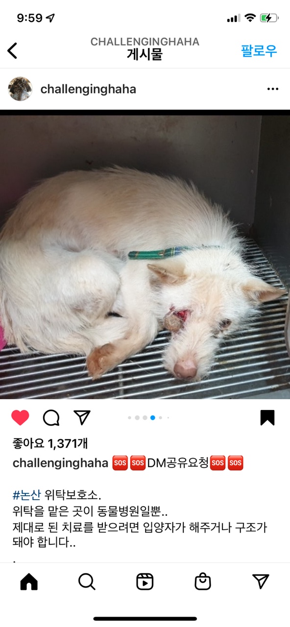 안구외상 방치 구조 부탁드려요 ㅠㅠㅠ