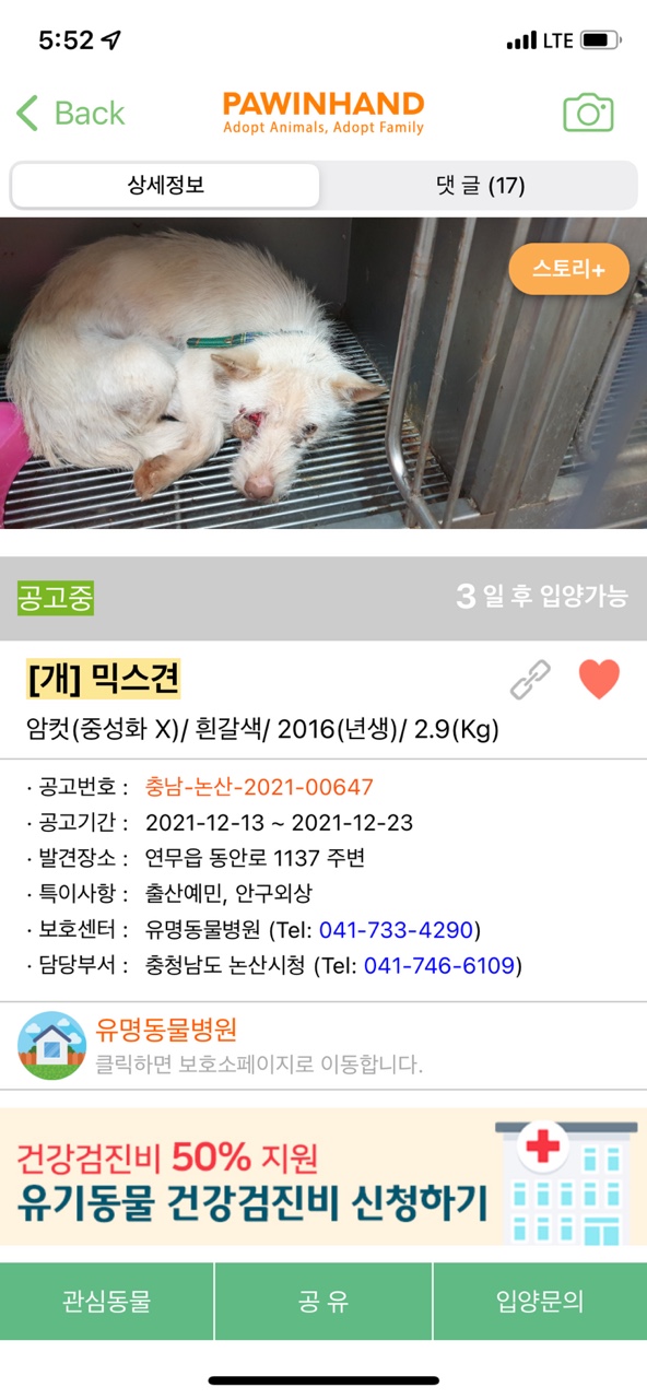 안구외상 방치 구조 부탁드려요 ㅠㅠㅠ