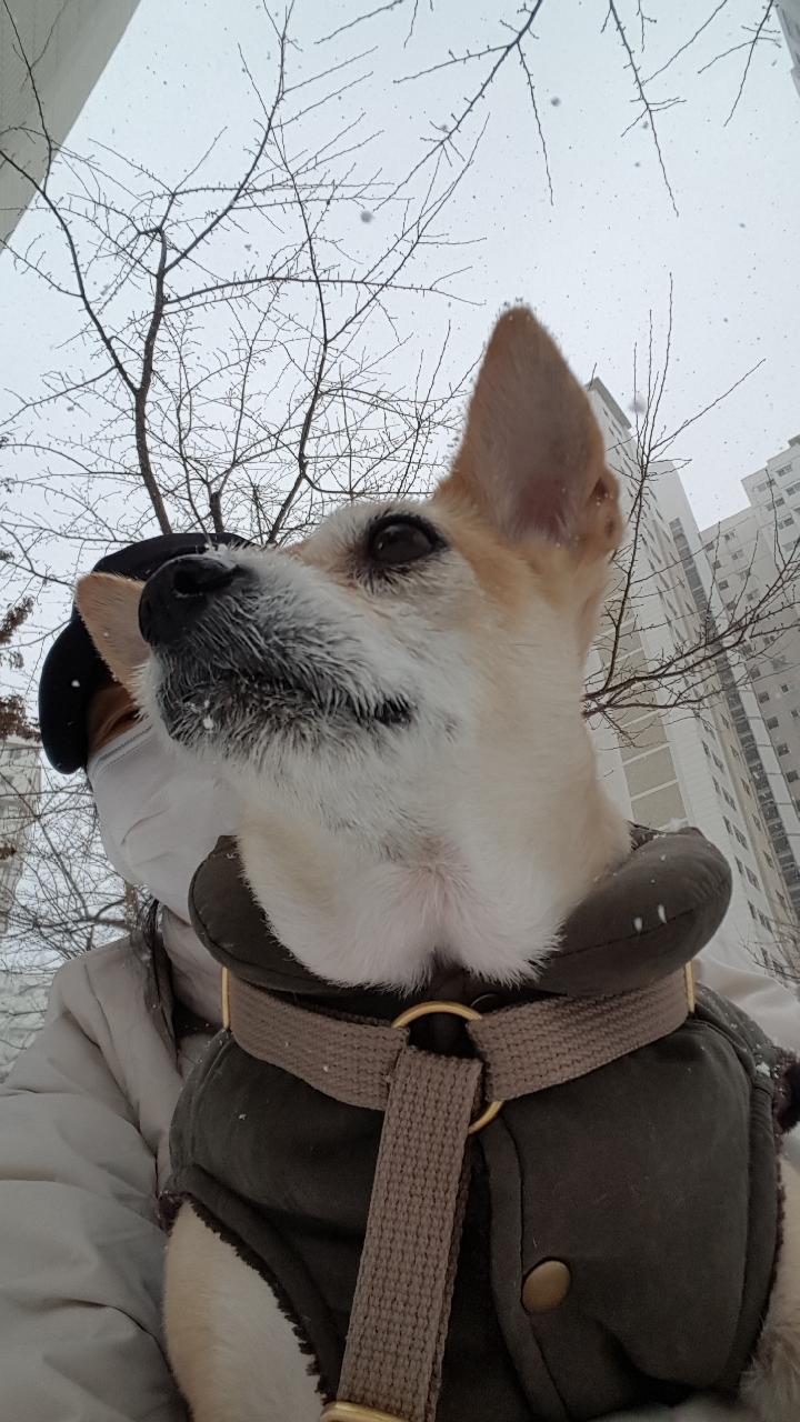 공주 근황입니다