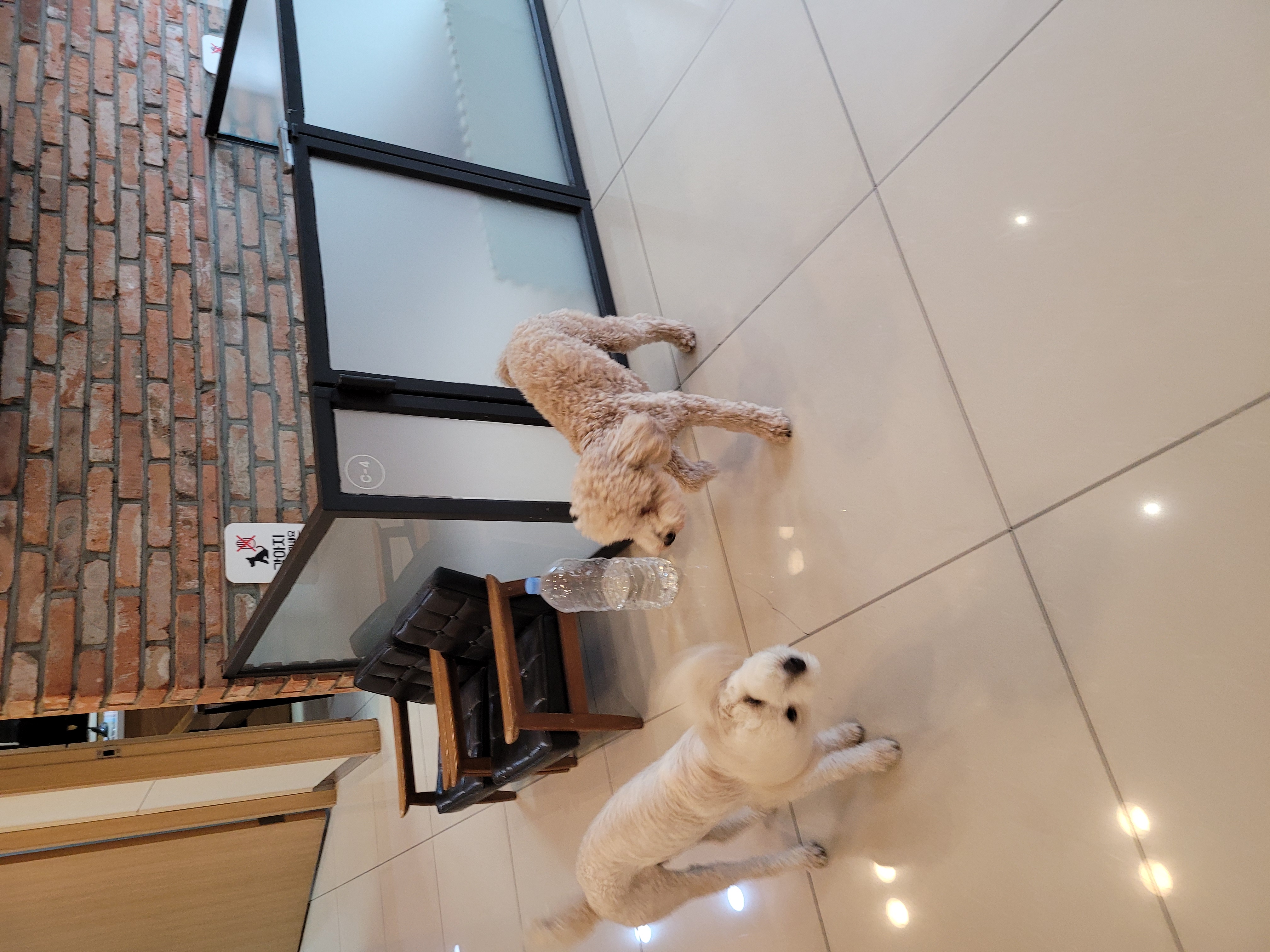 푸사 (보리) 