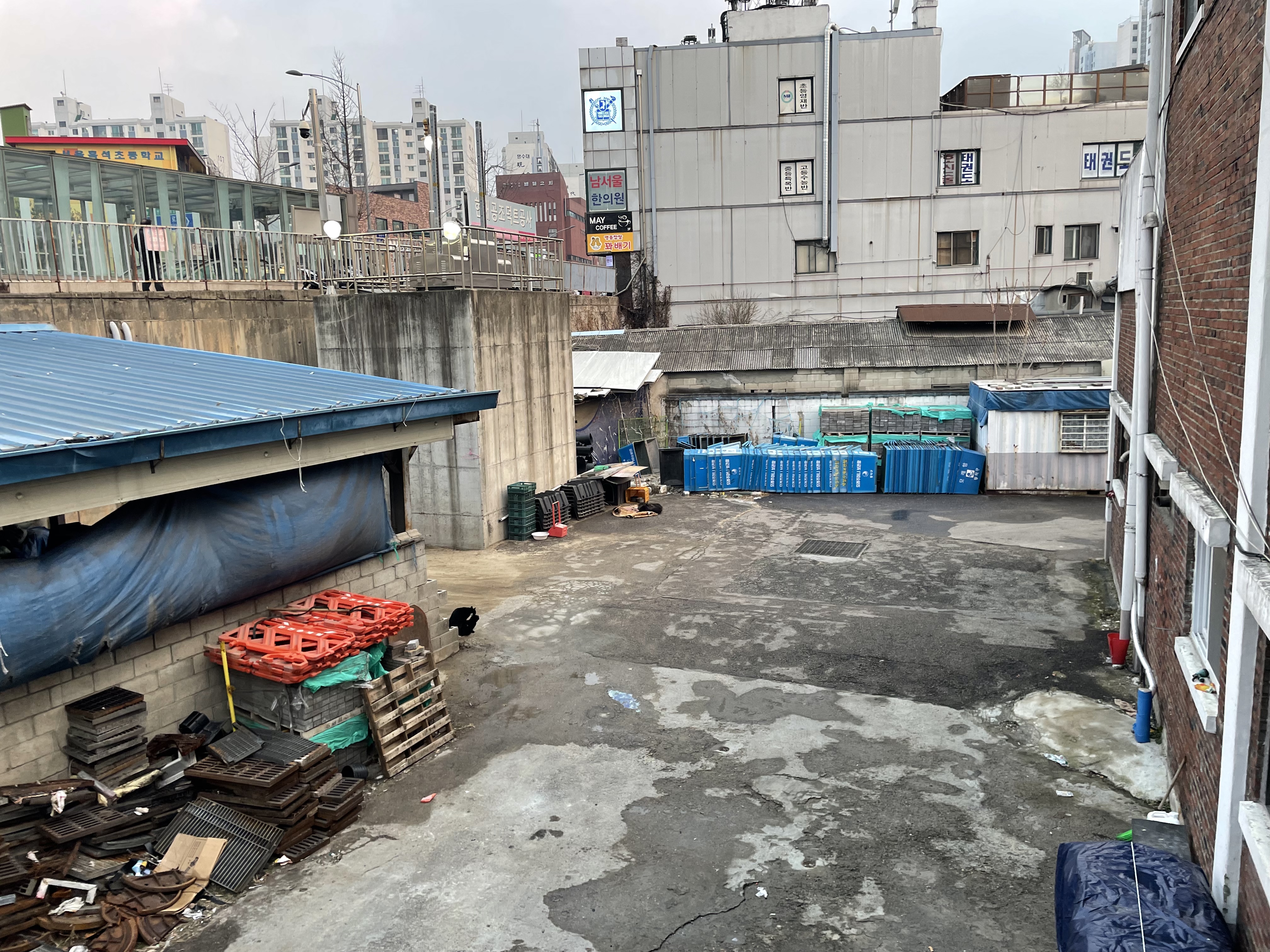 서울 흑석동 재활용집하장에서 큰 강아지가 몇년째 짧은줄에 묶여있습니다