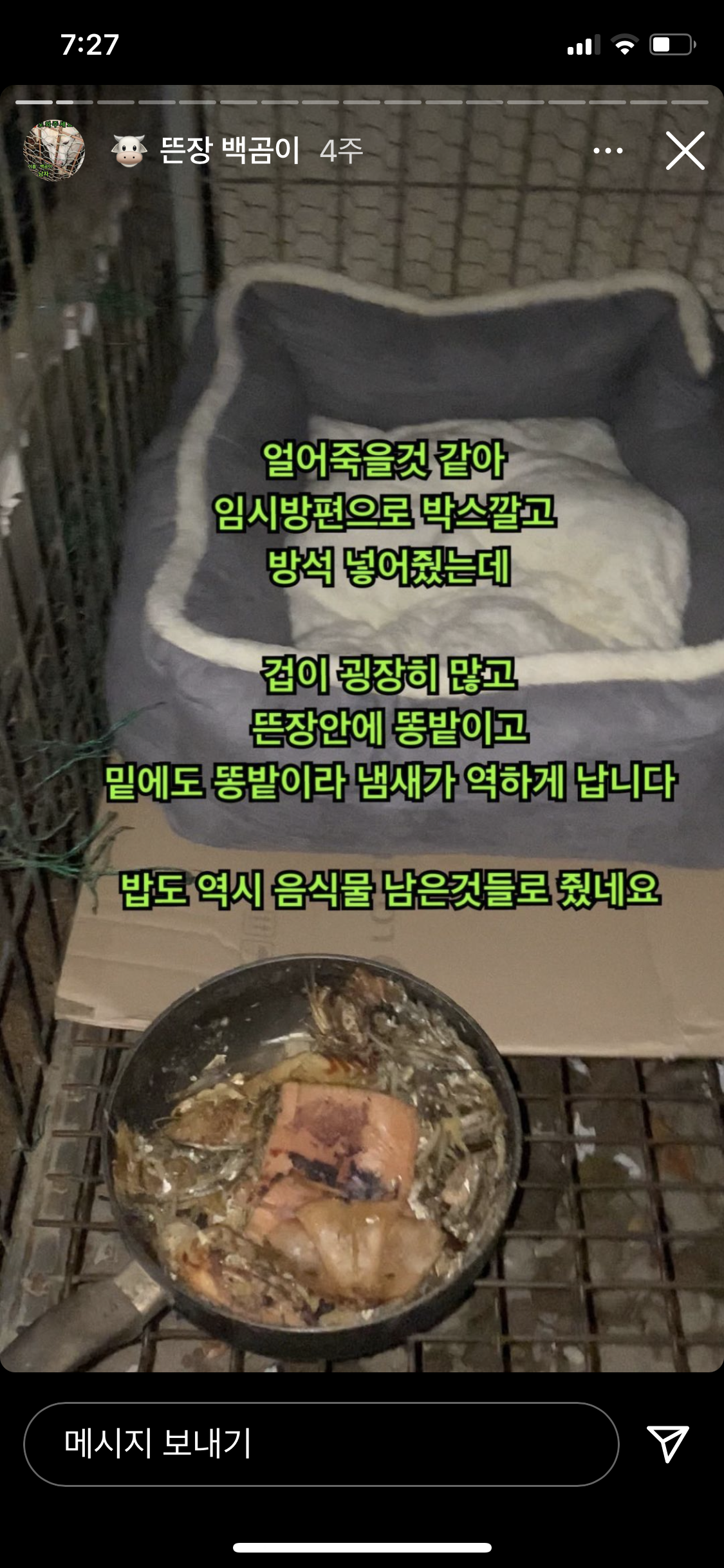 개방치 (뜬장,자물쇠 감금)신고