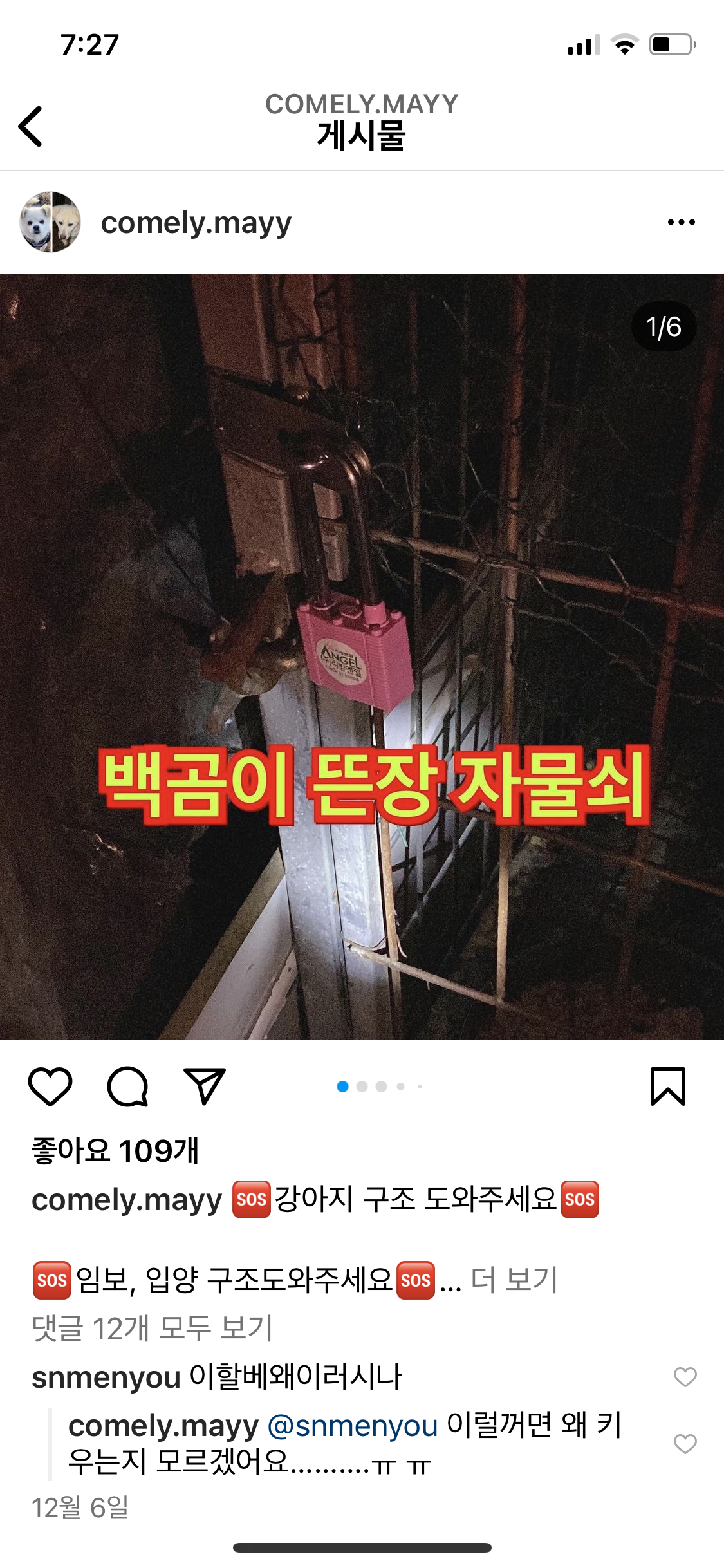 개방치 (뜬장,자물쇠 감금)신고
