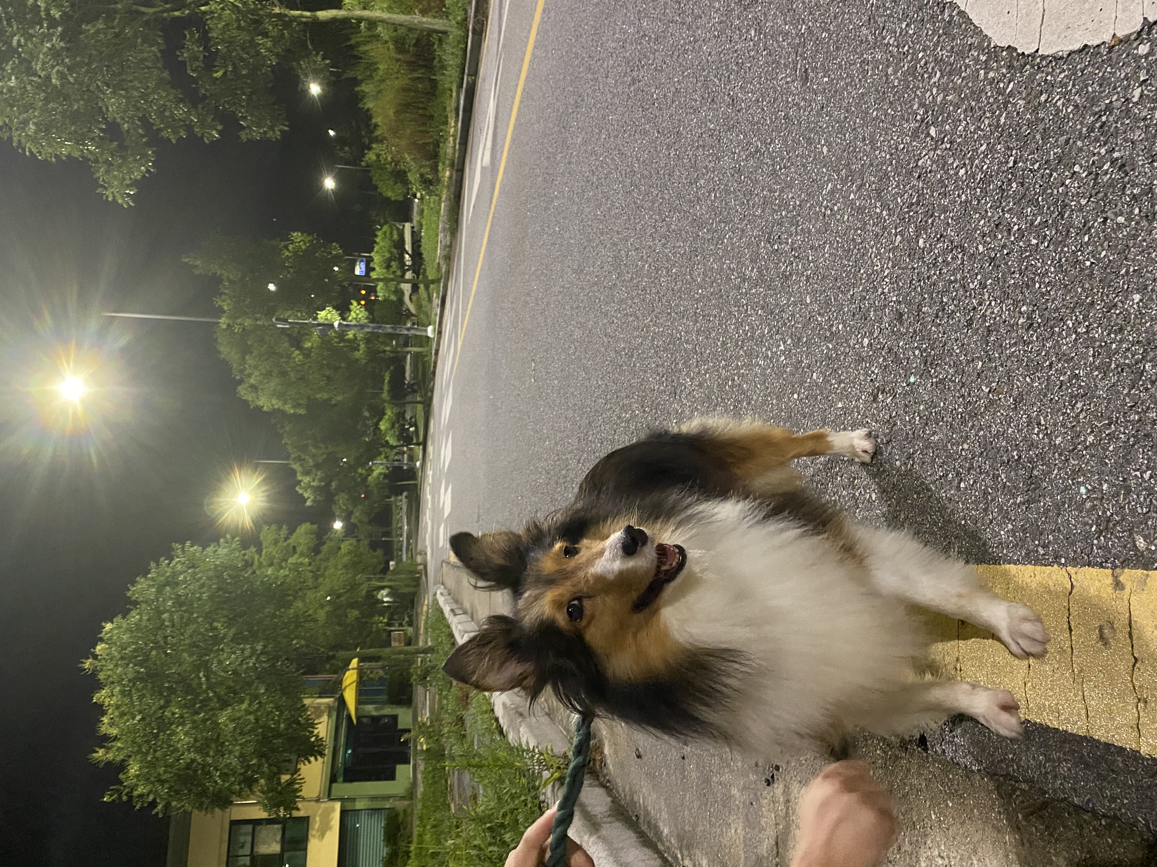 보미(곤지암 샐리)가 새해인사드려요~