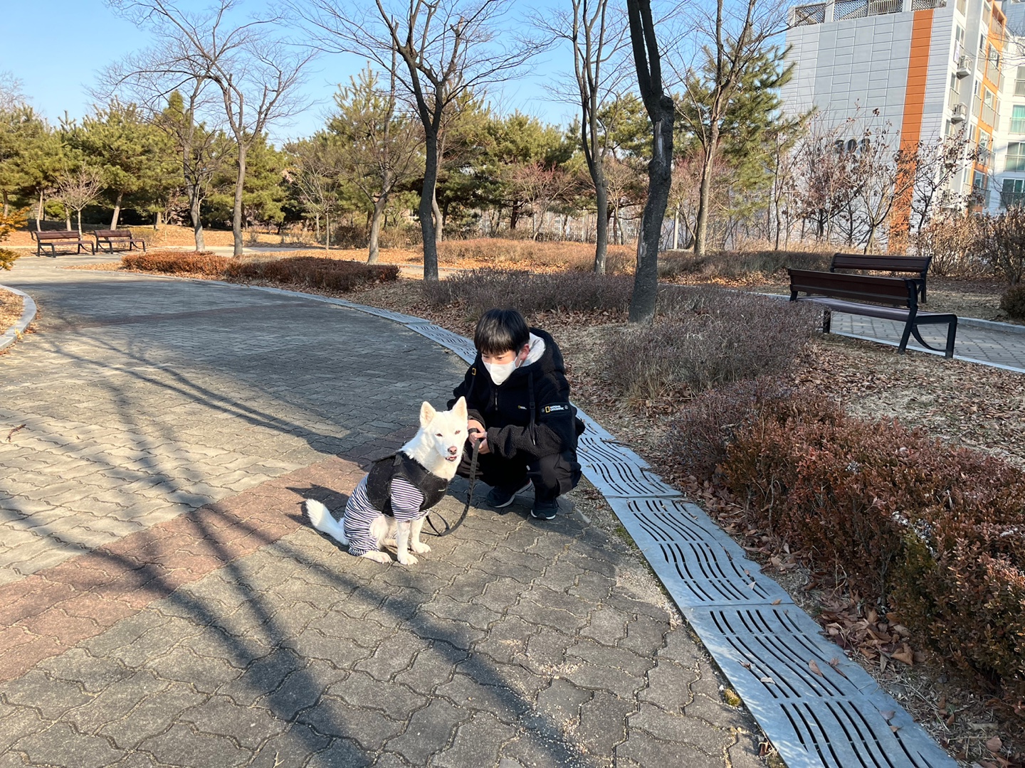 구름이와 1년