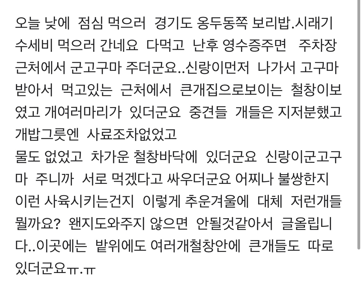 경기도 식당 다수의 강아지들 야외철창에 방치