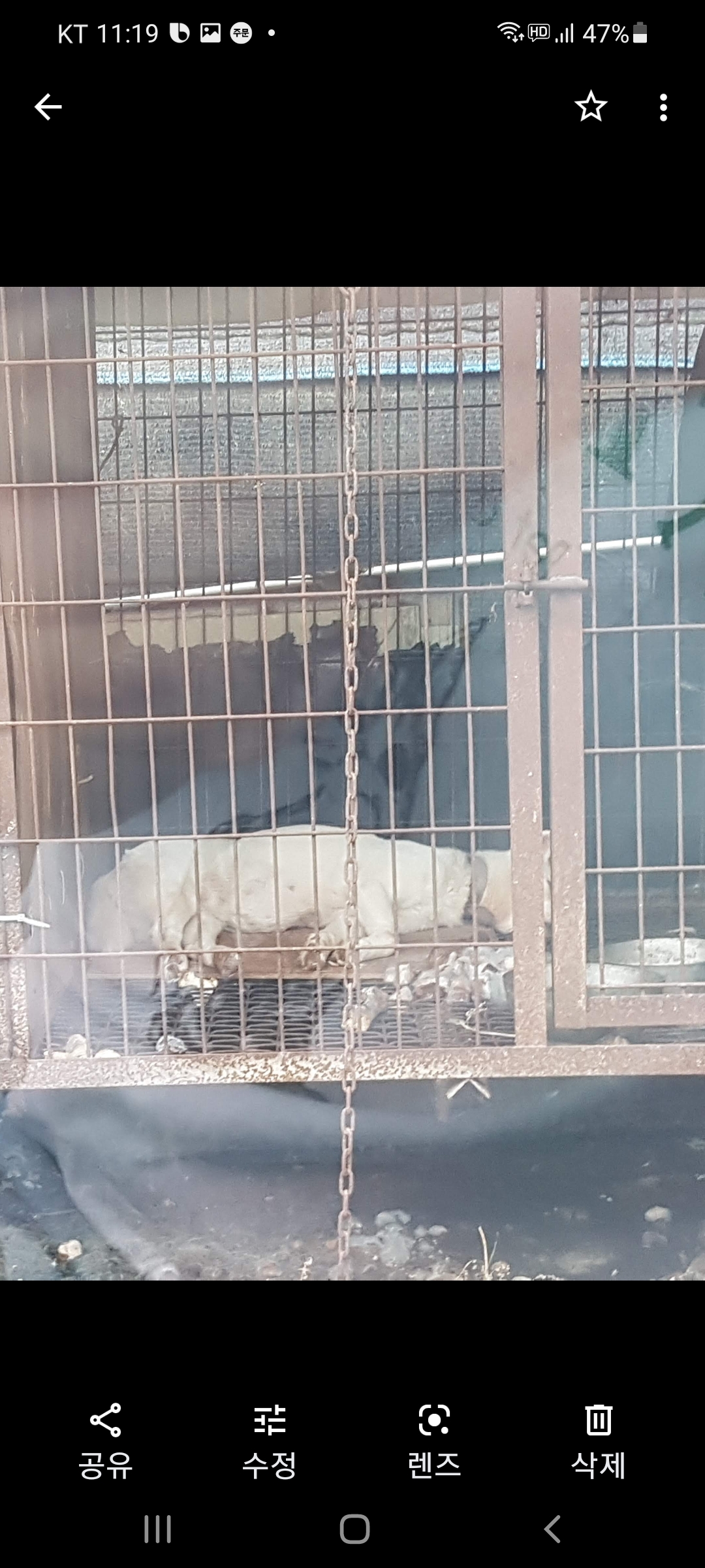 사진처럼 갇혀있어요 구해주세요