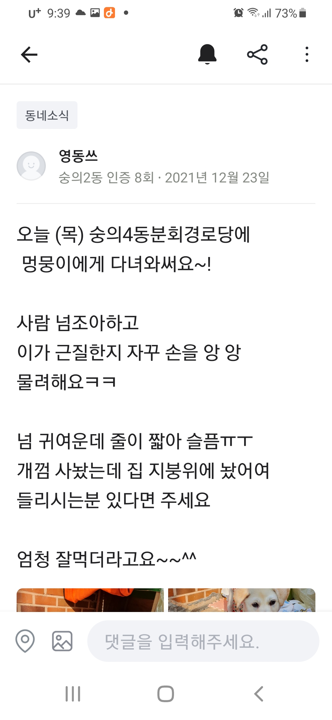 경로당에서 보신탕용으로 강아지를 학대하면서 사육하네요