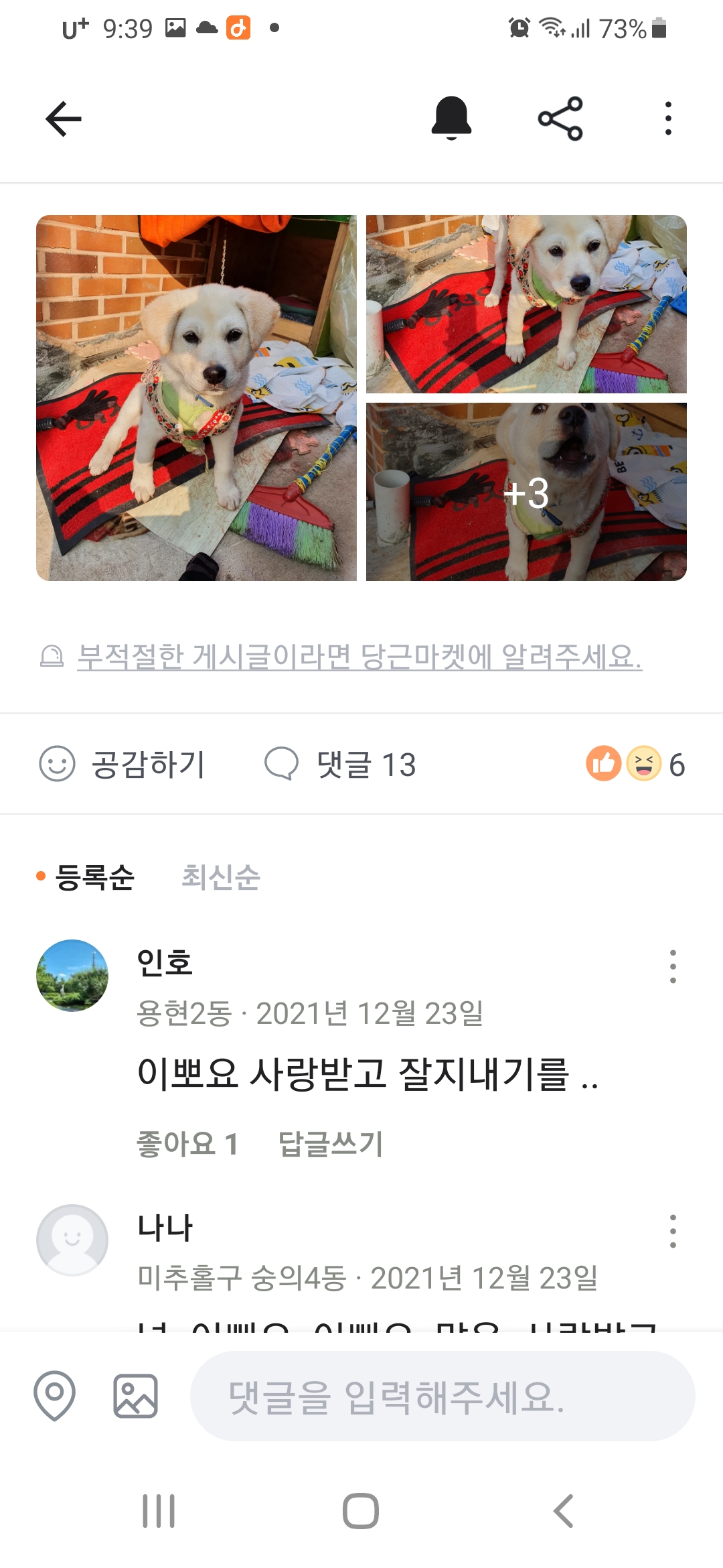 경로당에서 보신탕용으로 강아지를 학대하면서 사육하네요