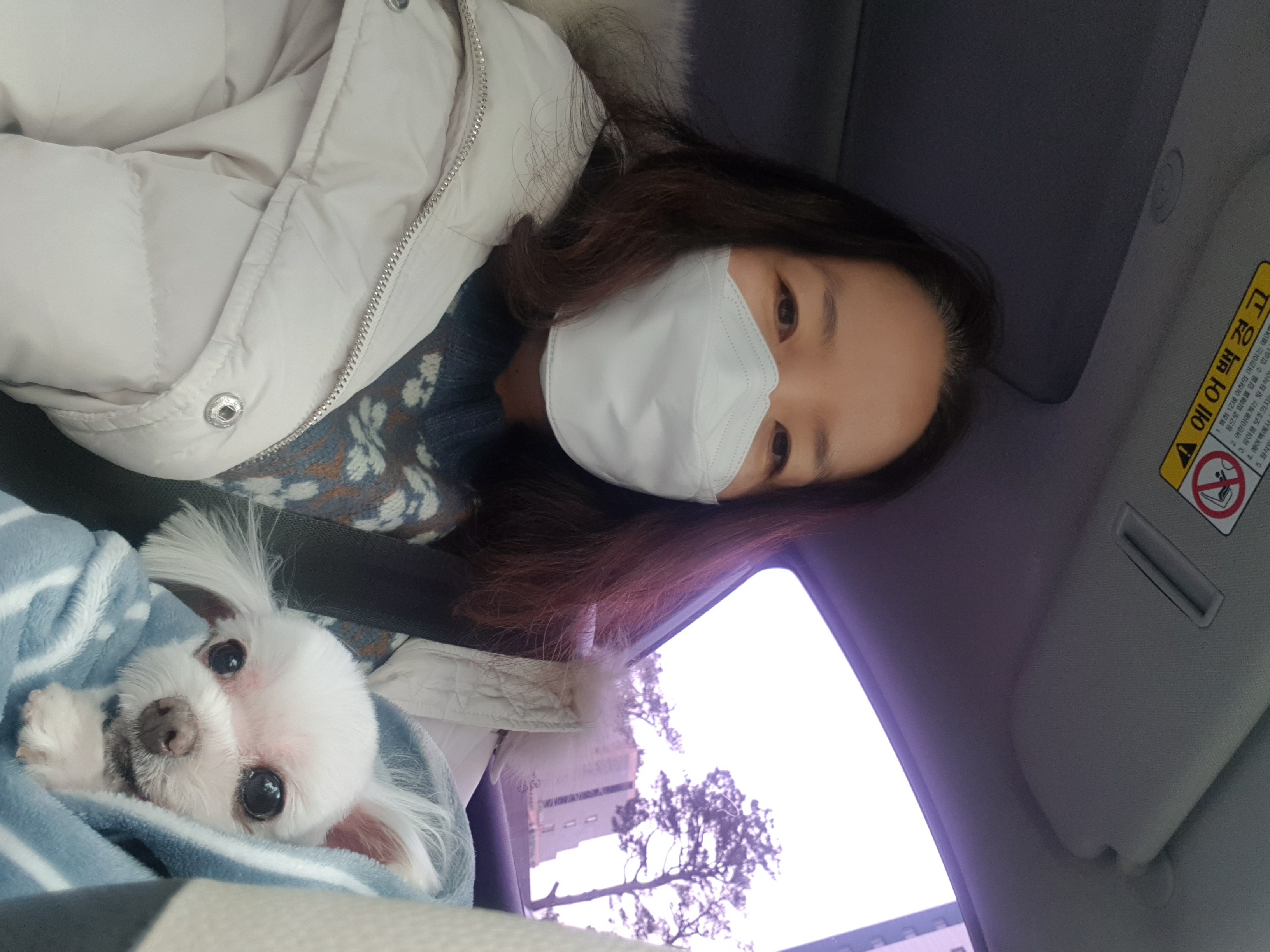 (시흥번식장) 밍키 (구조이름 뽀나) 잘지내고 있어요