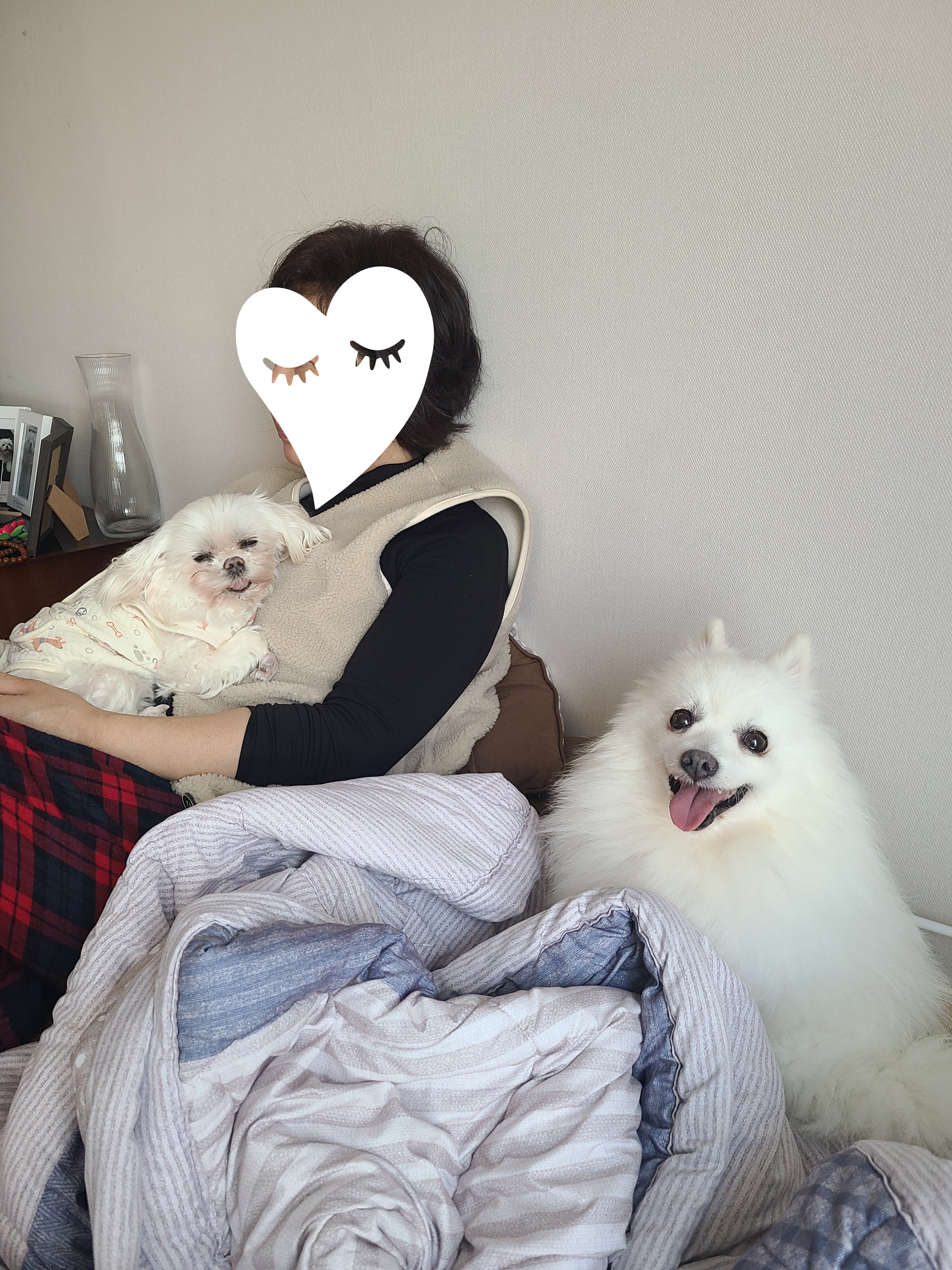 단비 (곤지암 포동이) 벌써 한달이 넘었어요~