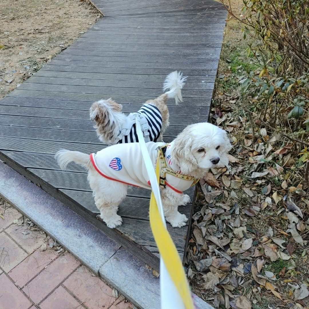 오리가 온지 한달이 넘었어요~
