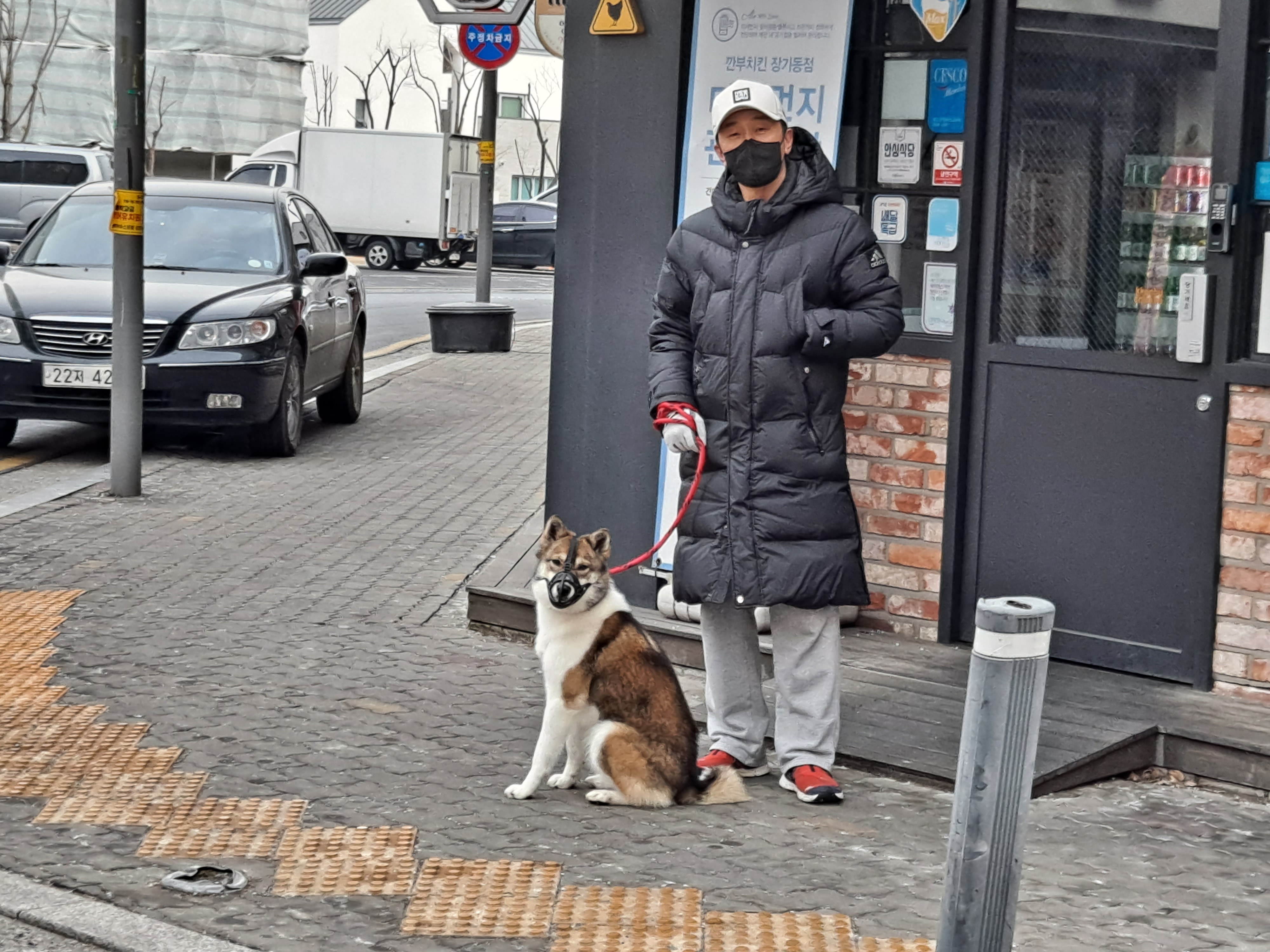 하디 임보 일주일