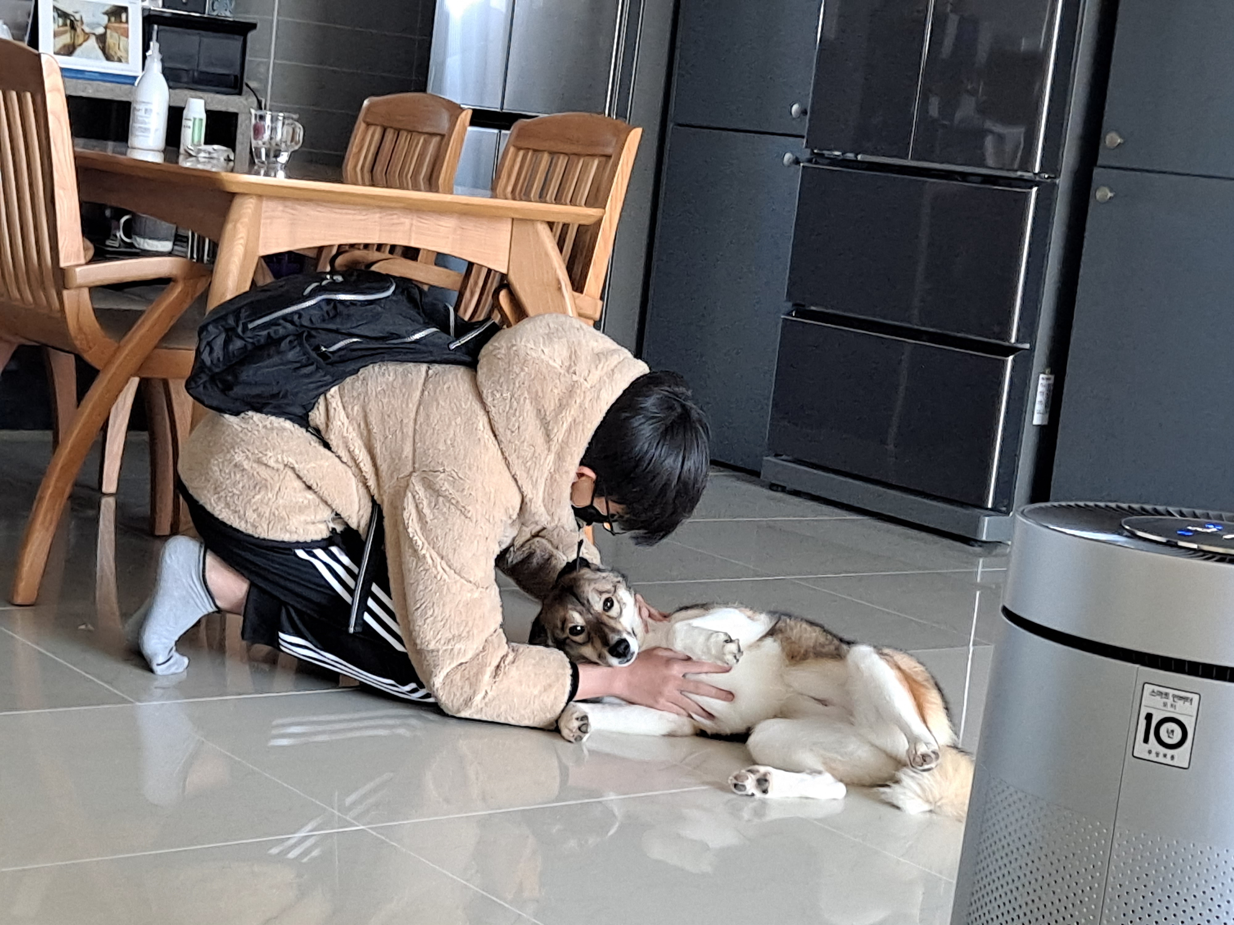 하디 임보 일주일