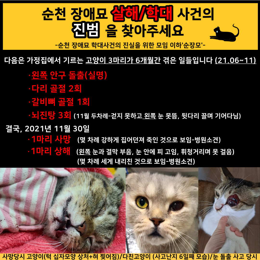 제가 입양보낸 아이는 실명이 됬고, 다른 아이는 11월30일 죽었습니다.