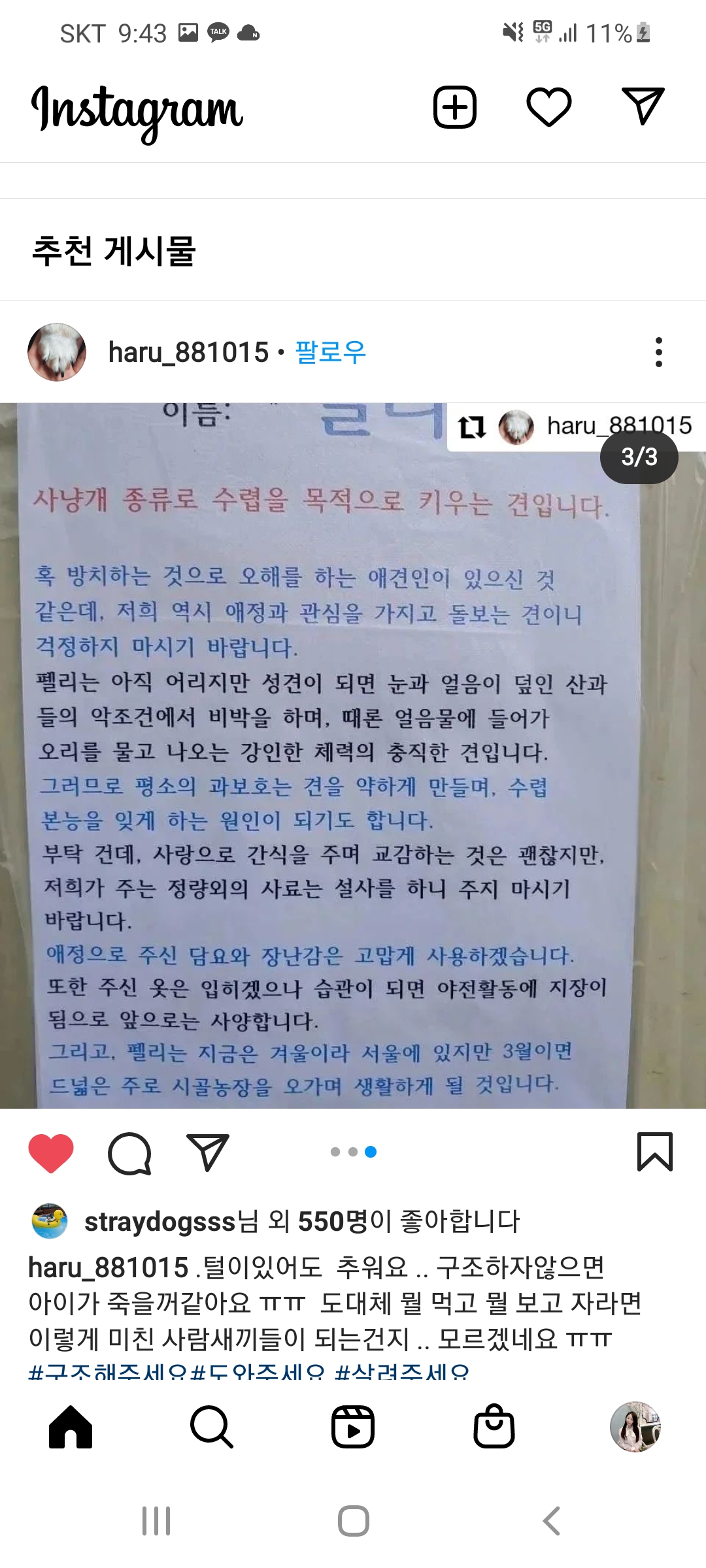 사냥목적으로키운다는이유로 영하의한겨울에 밖에서사시나무떨듯방치해 곧죽을거같아요ㅜㅜ