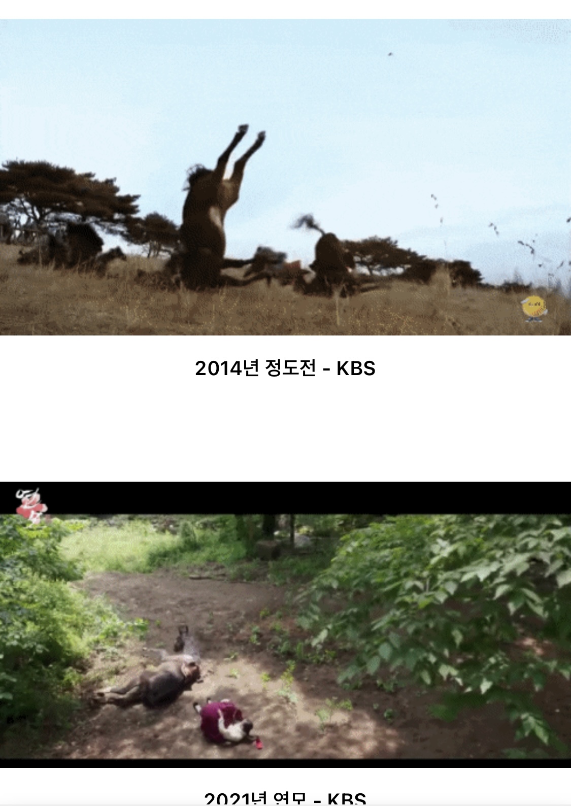kbs드라마 ‘연모’나 다른 드라마들에도 같은 낙마 장면이 있다고 합니다