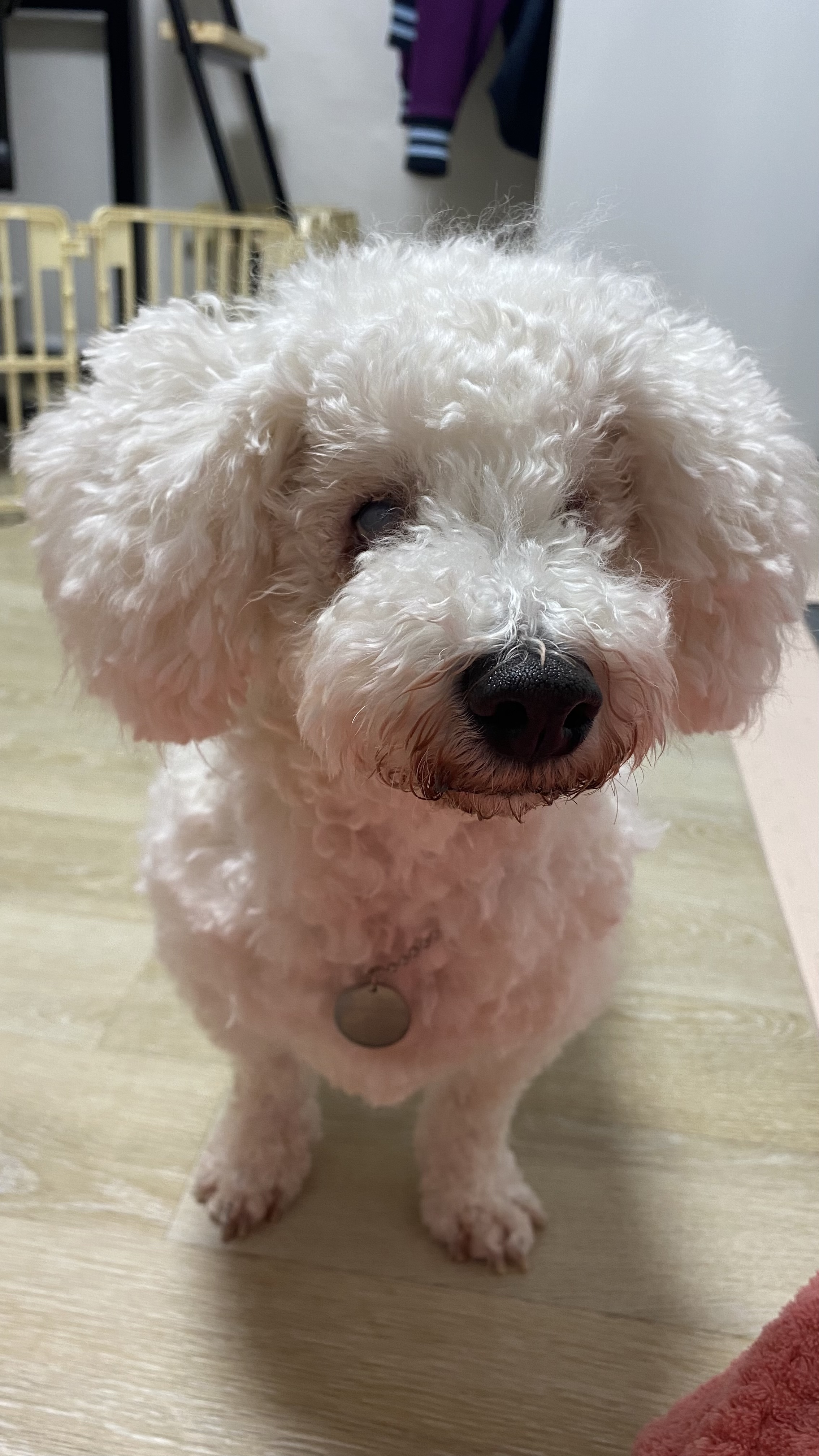 윤랑(곤지암_쟈스민)의 치료일기