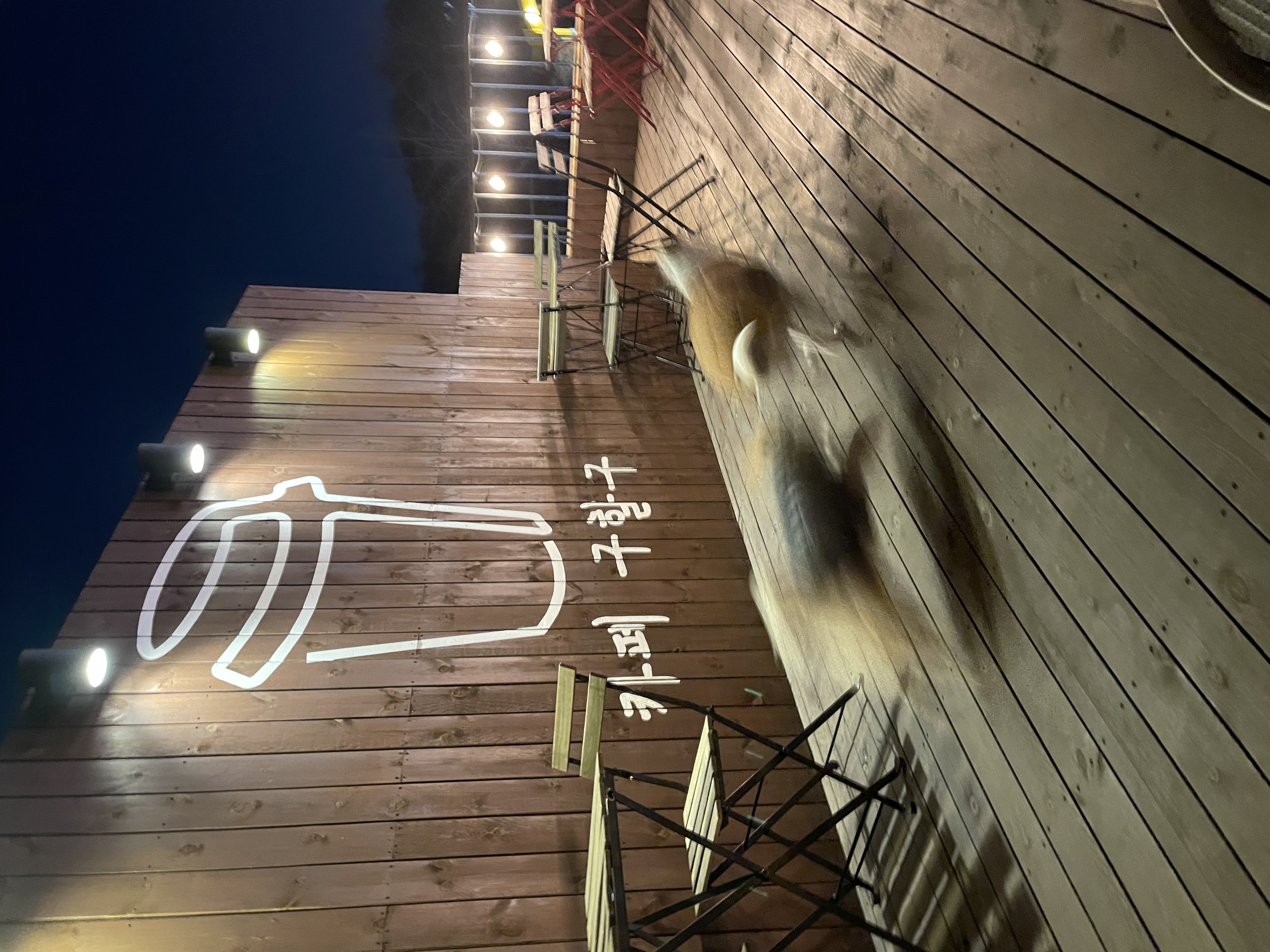 도도(당이) 1년 후 