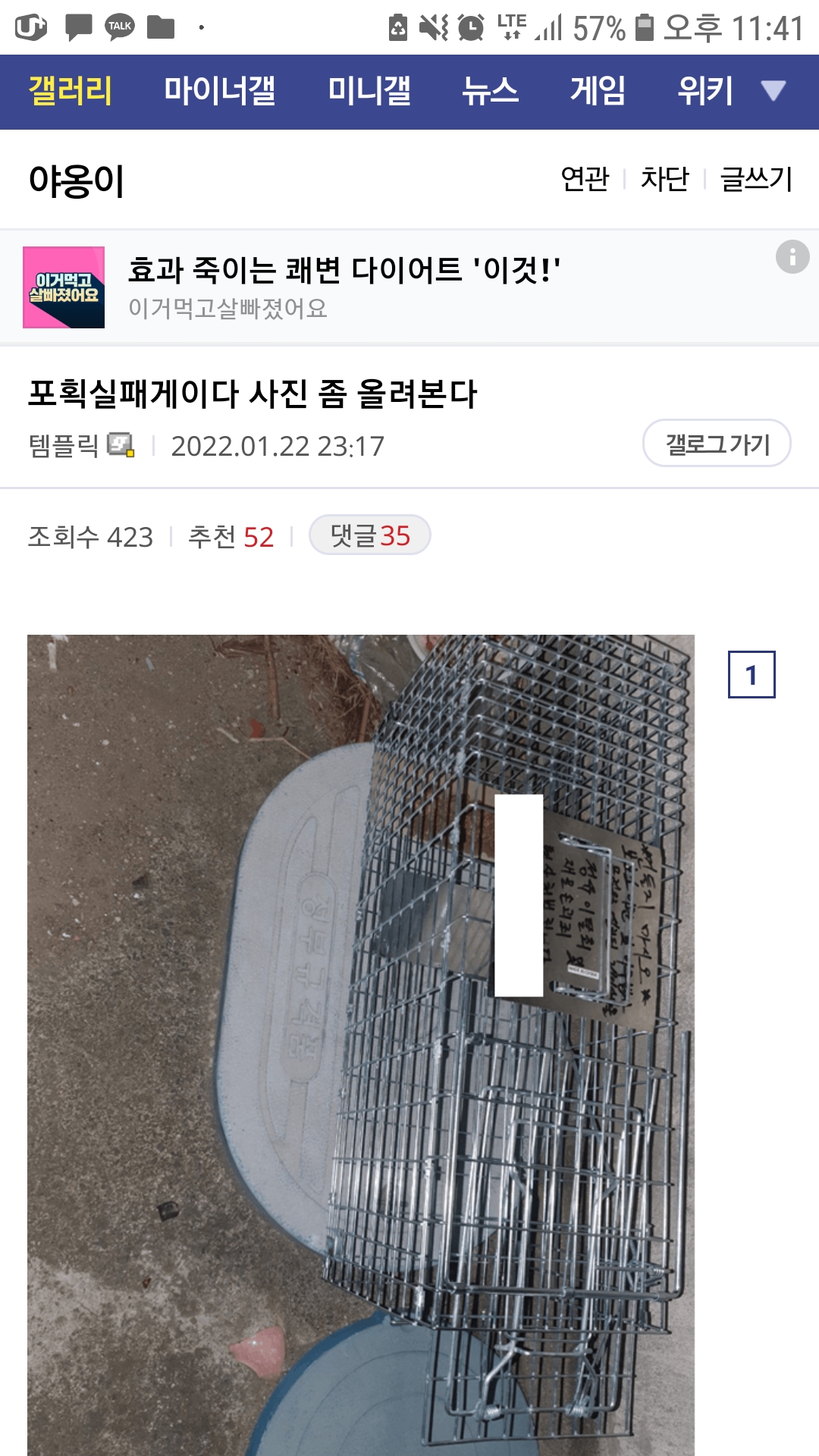 길고양이 불법포획 학대 후 타지역 방사