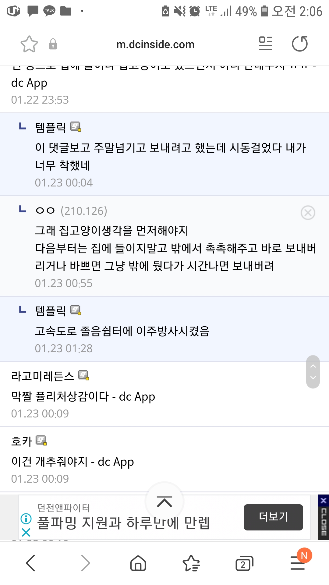 길고양이 불법포획 학대 후 타지역 방사