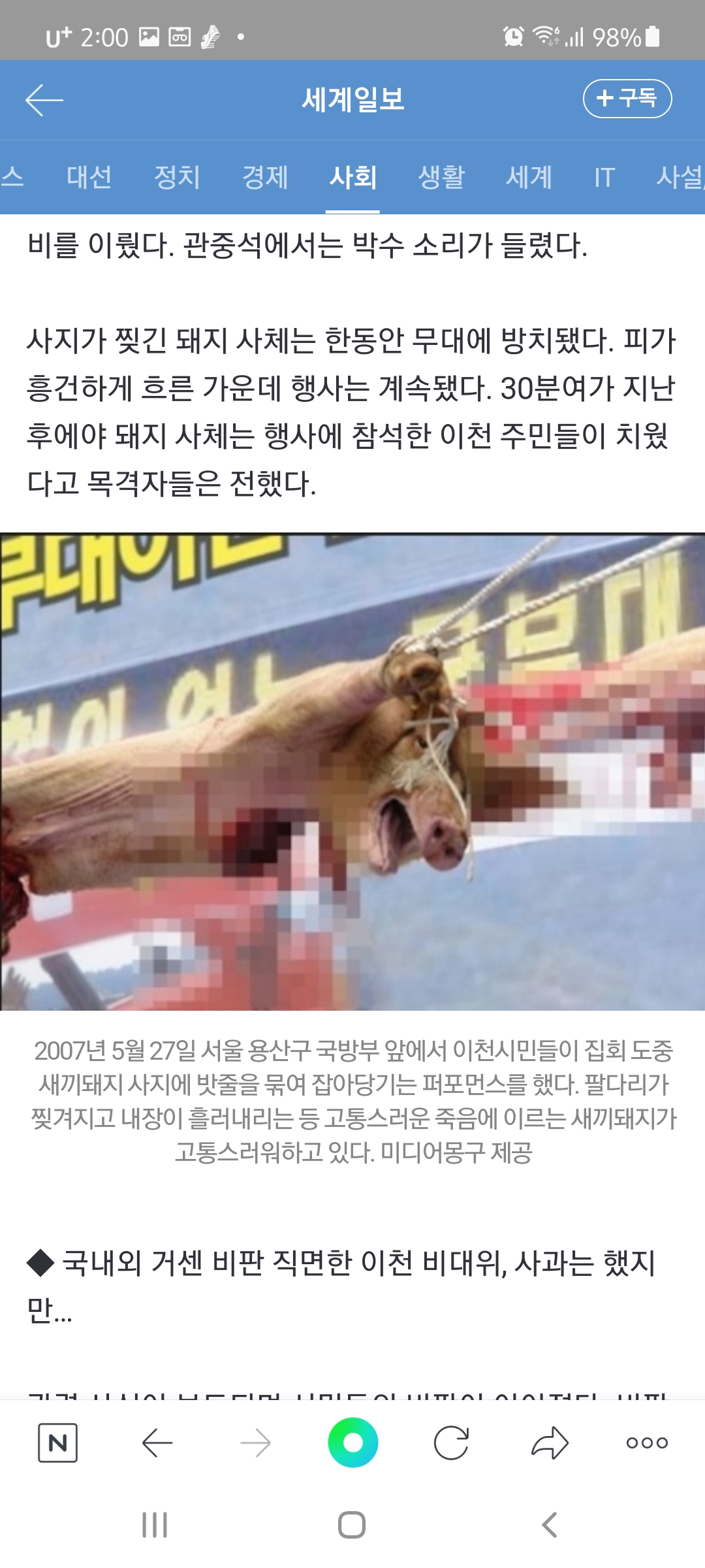 이천 아기돼지 찢어죽인 살인마들 공론화해주세요