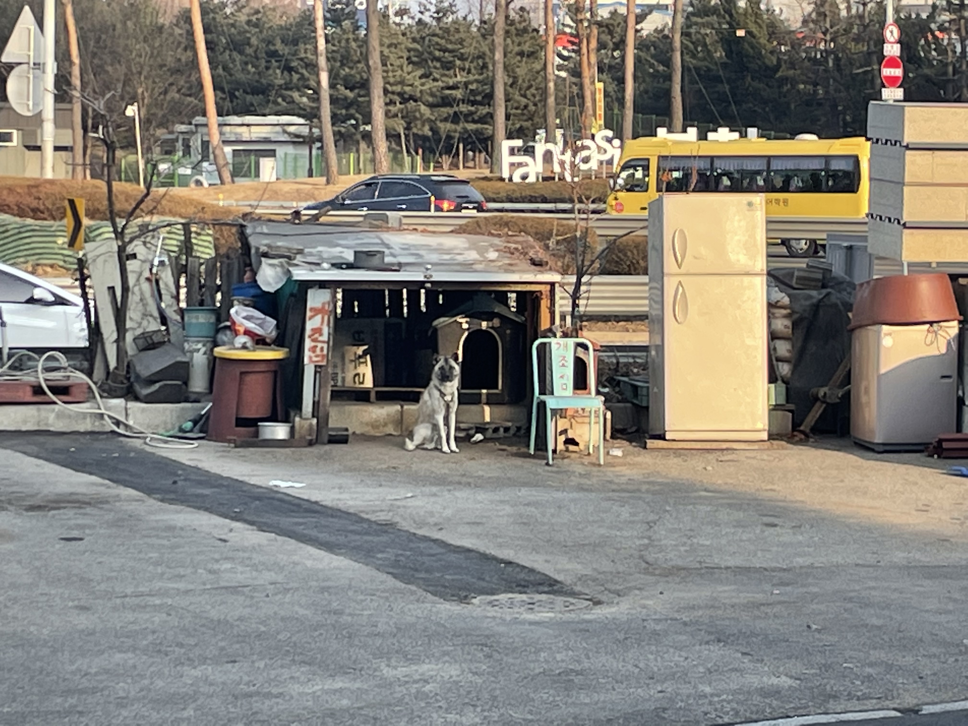 고속도로 입구에 방치된 강아지를 구해주세요