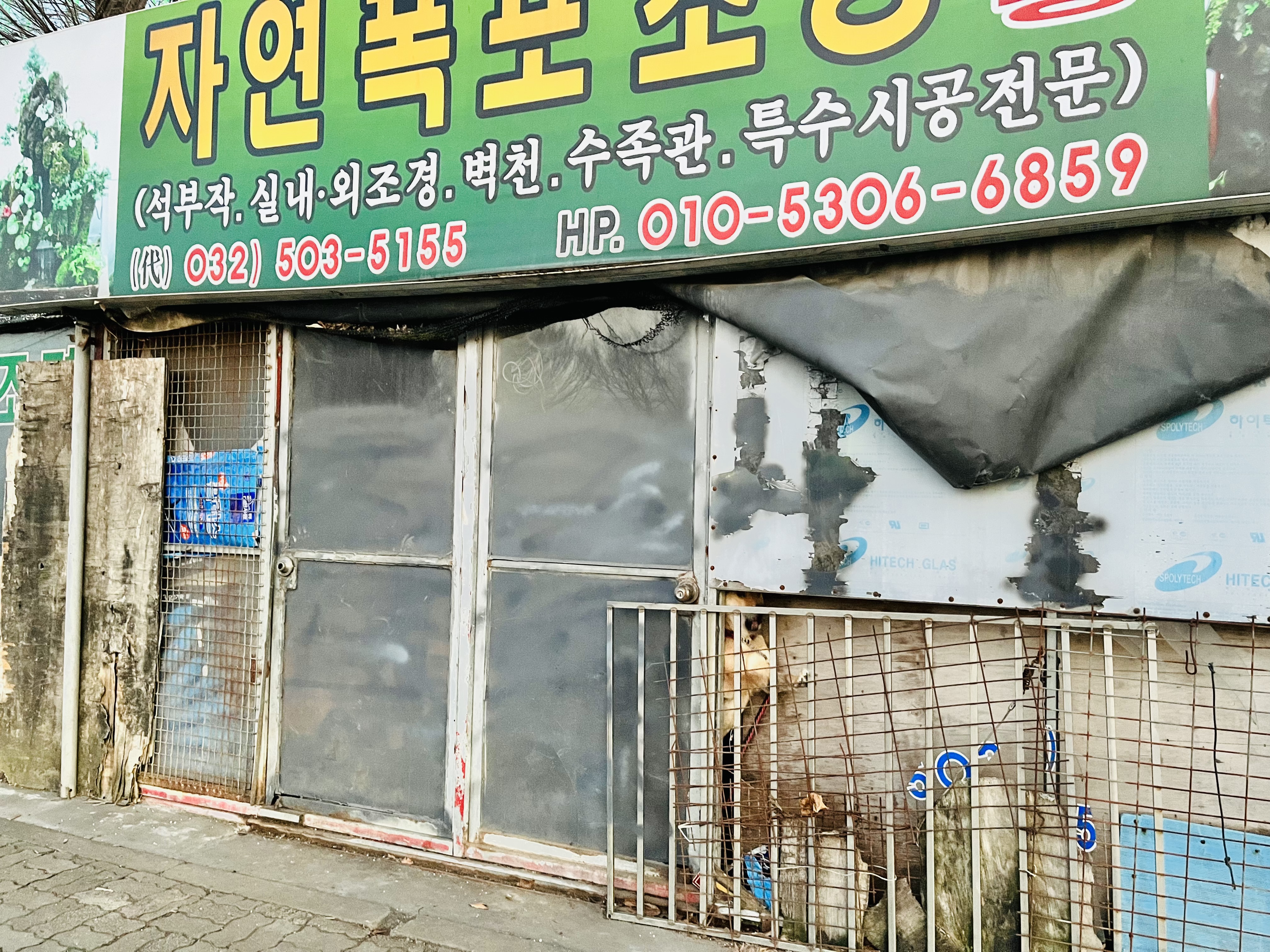 불법 개사육장 신고합니다.(제발 도와주세요.)