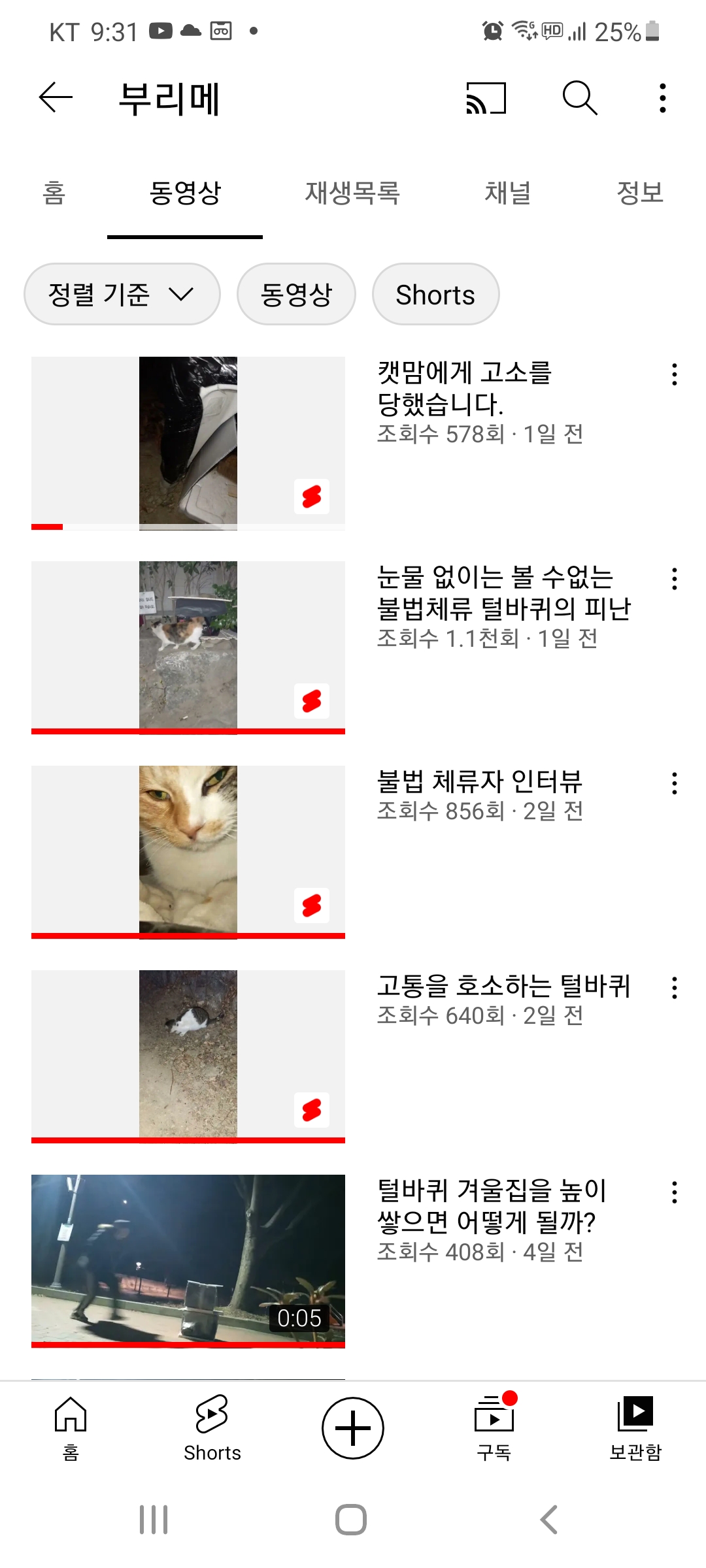 유튜브 고양이학대동영상 컨텐츠
