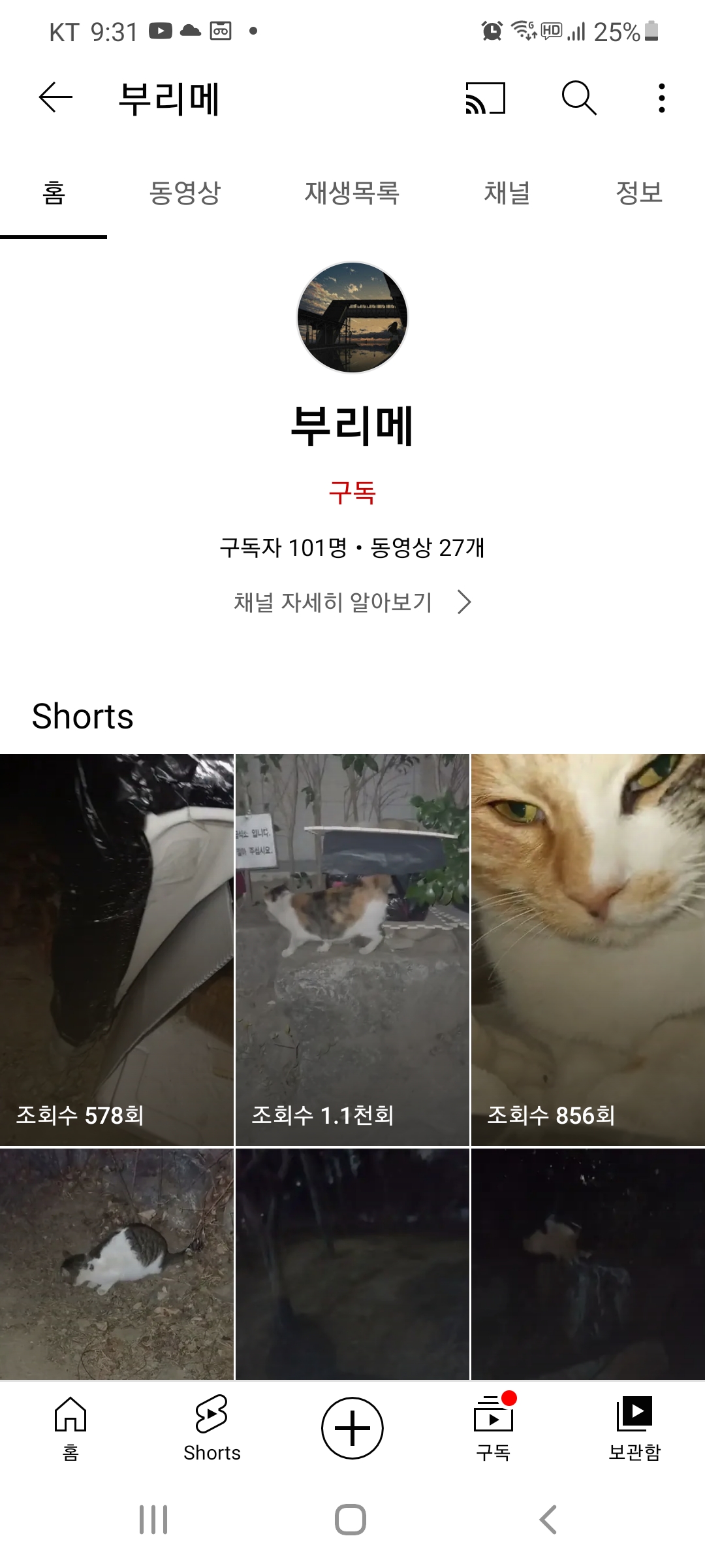 유튜브 고양이학대동영상 컨텐츠