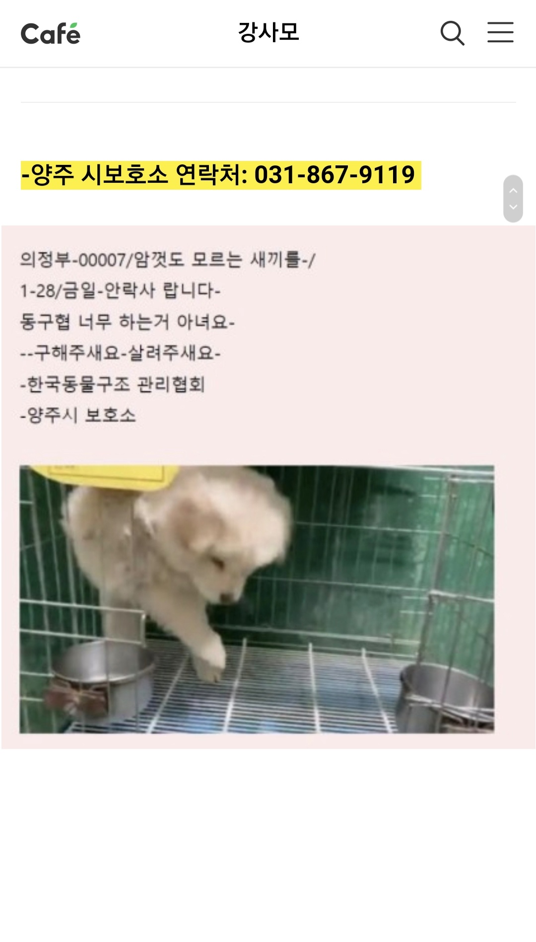2개월 새끼 오늘 안락사 예정이라는데 이미 늦은건 아니겠죠..