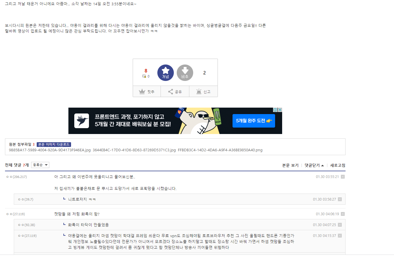 디씨 인사이드 야옹이갤러리 대부분이 학대범/ 고양이 몸에 불붙이고 좋아하는 범죄자