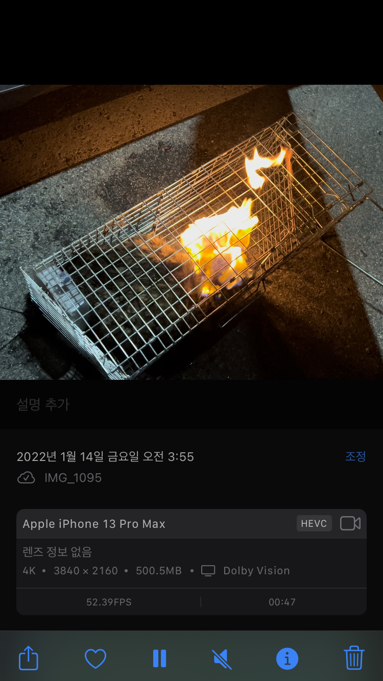 디씨 인사이드 야옹이갤러리 대부분이 학대범/ 고양이 몸에 불붙이고 좋아하는 범죄자