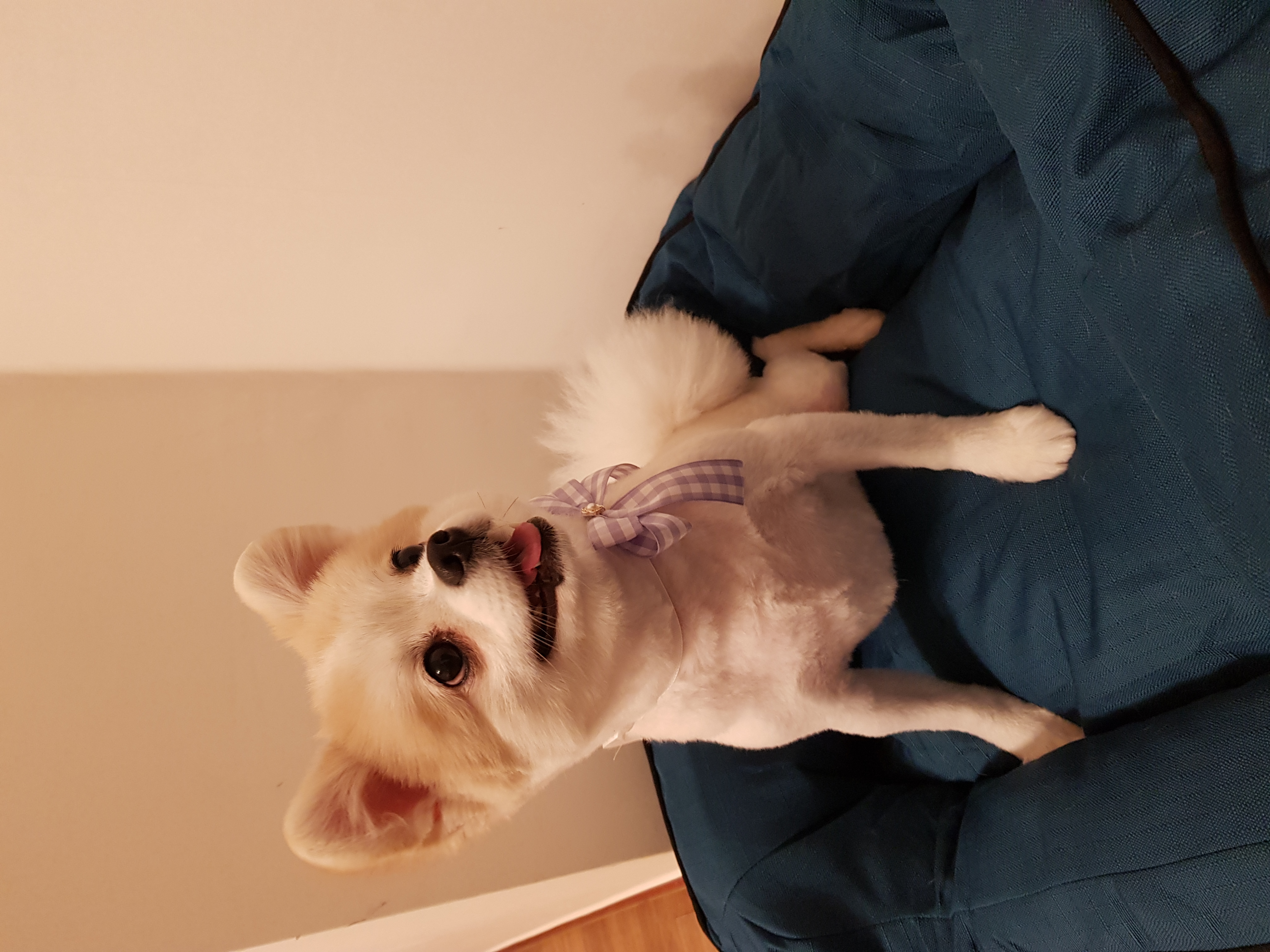 곤지암 레오( 구 금송이) 오랜만에 인사드려요~
