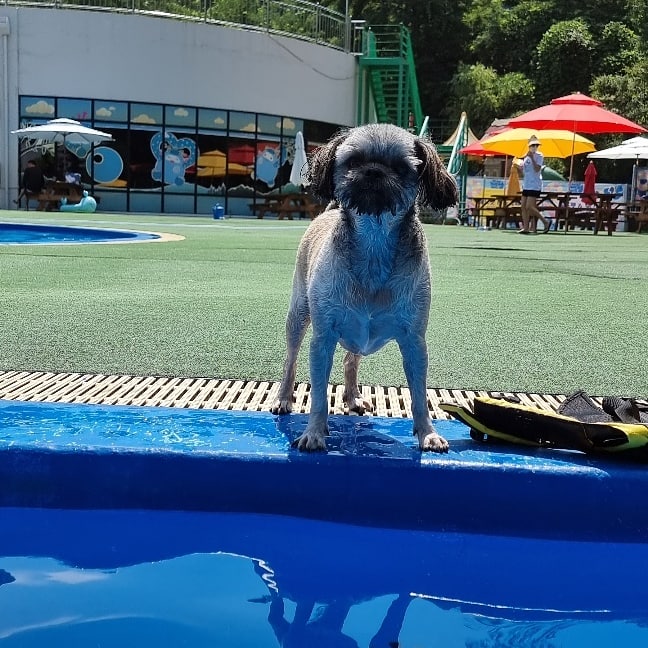 우리 세남이