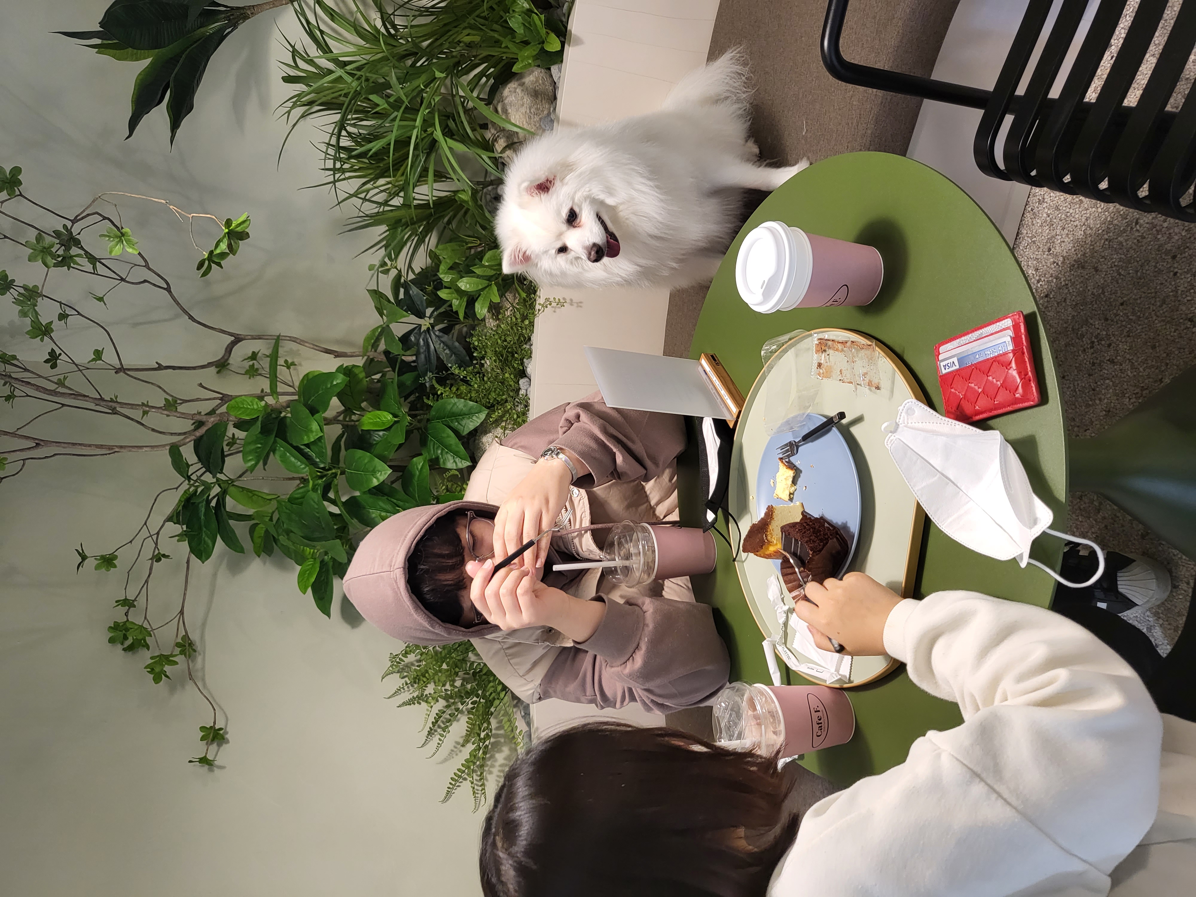사루(천호) 벌써 5년