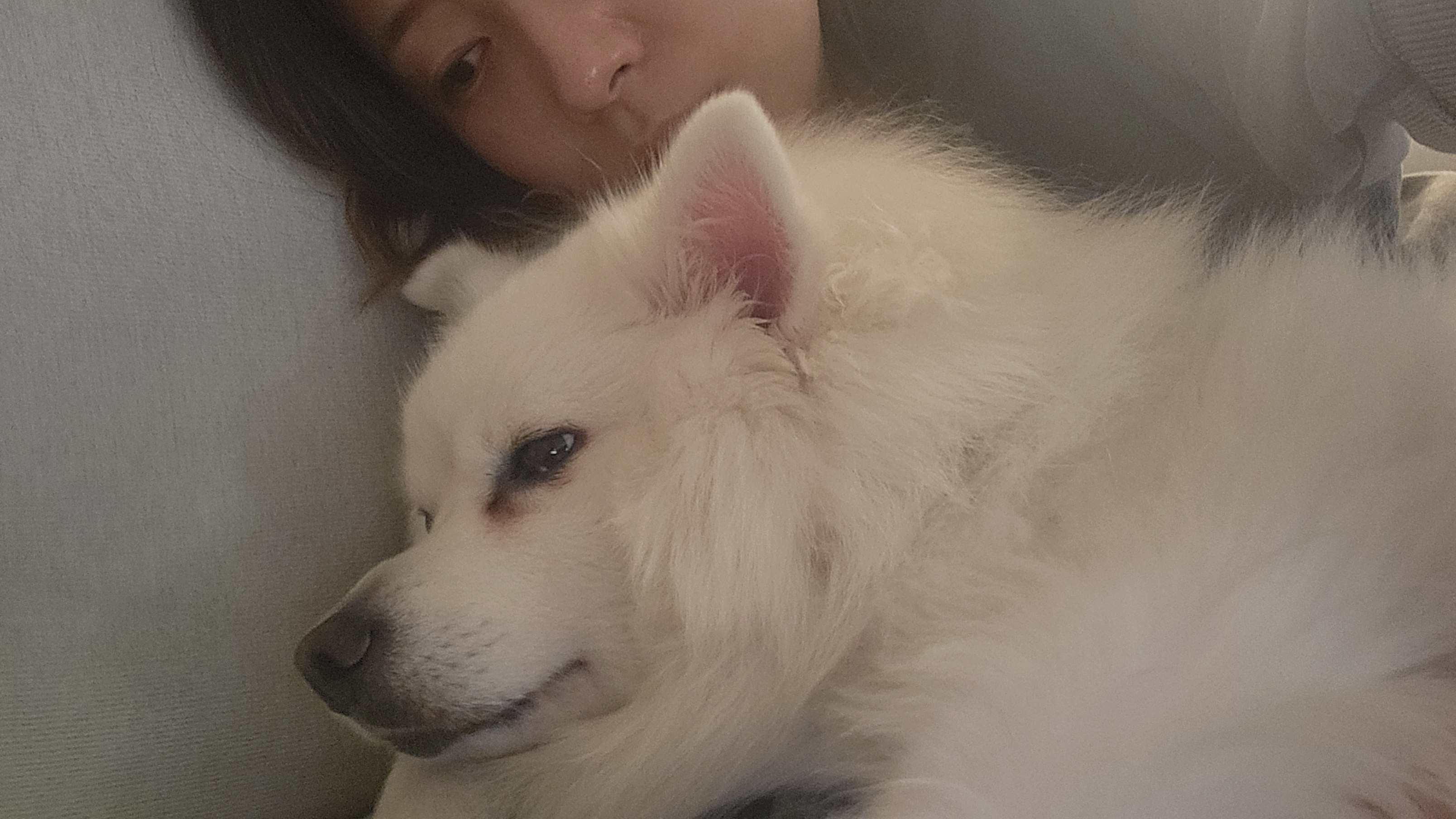 사루(천호) 벌써 5년