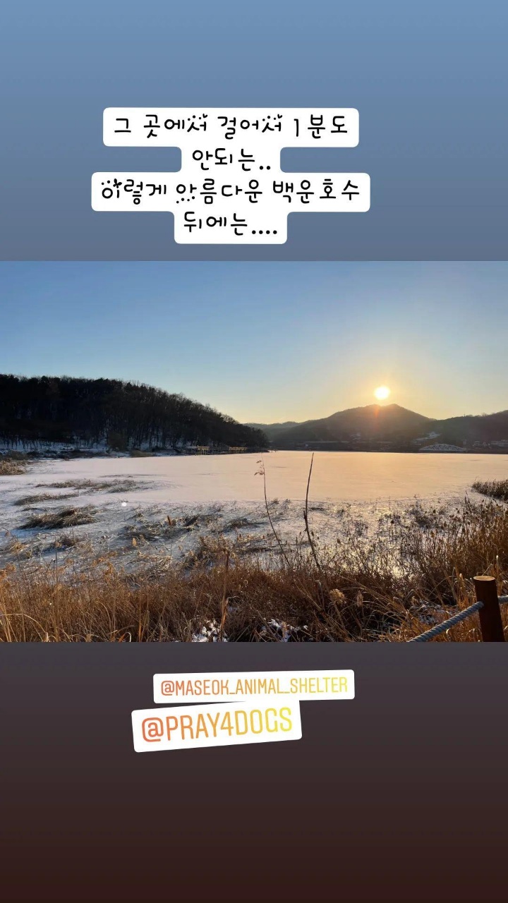 재개발 지역 뜬장 열악한 환경에서 추위와 똥받을 구르며 지냈는데 이젠 개장수한테 팔아버린대요 제발 구조해주세요