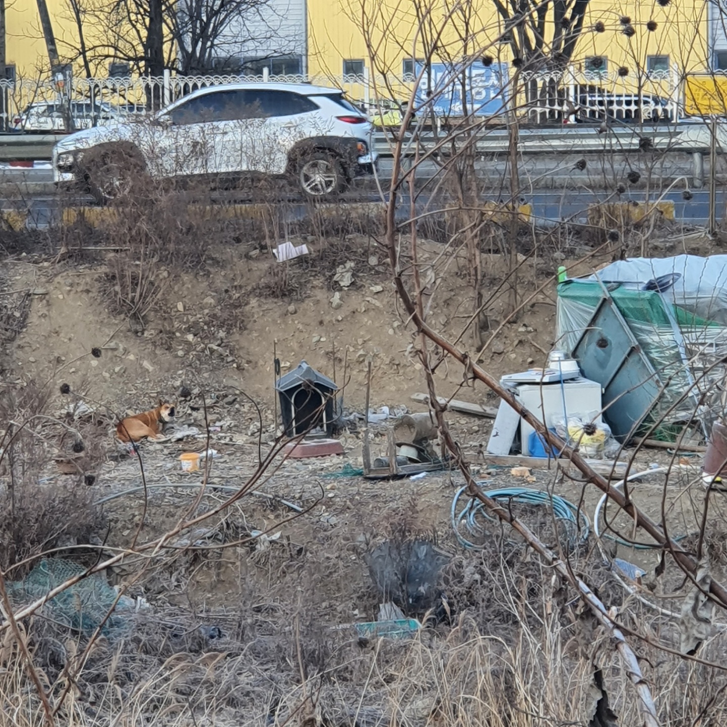 추운겨울에 밤낮으로 도로가 밑에  묶여있어요