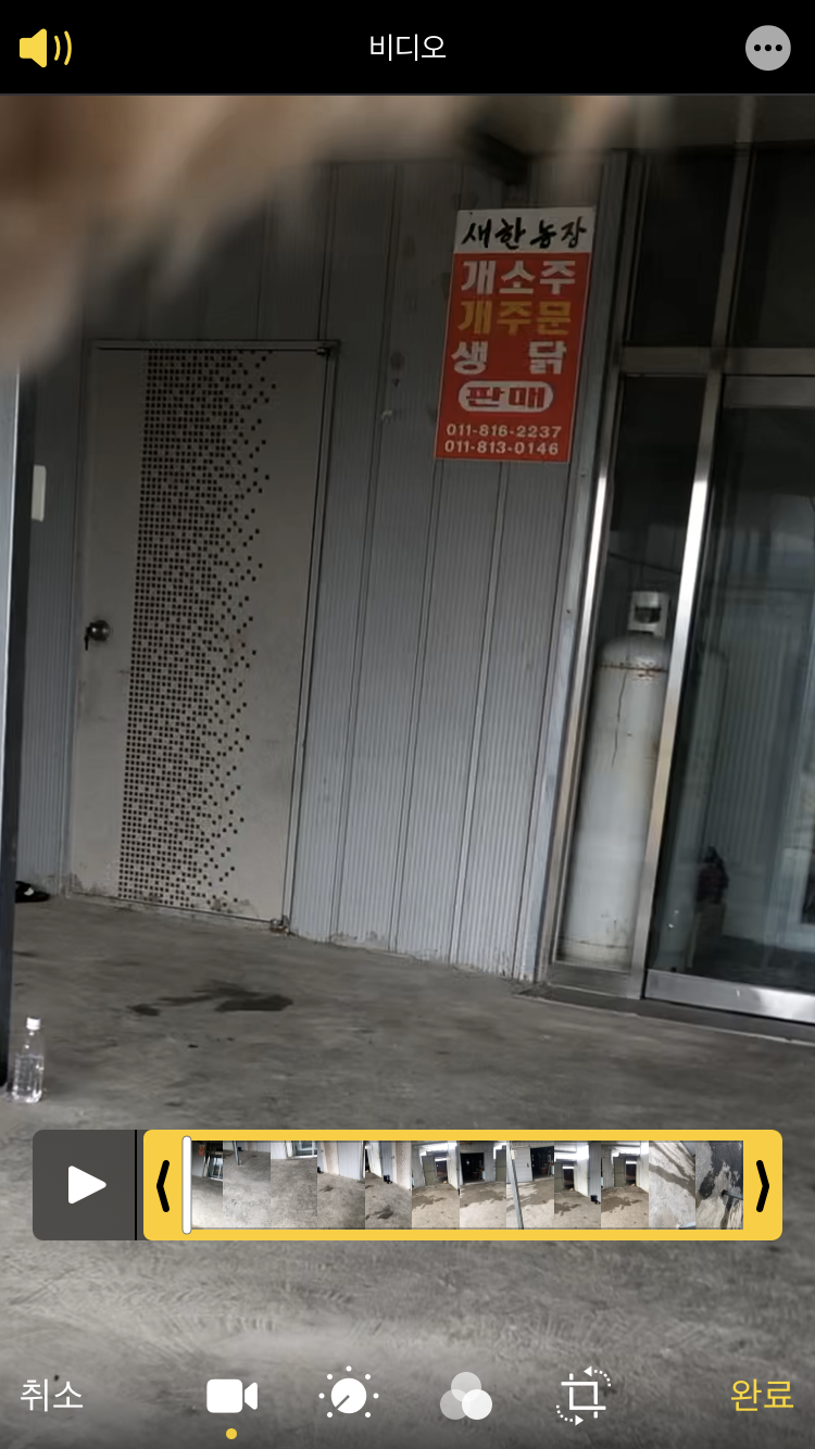 개농장을 목격했습니다