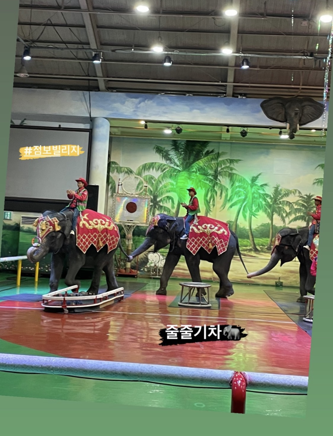 지금현시점 이런 말도안되는 코끼리쇼가 왠말인가요 