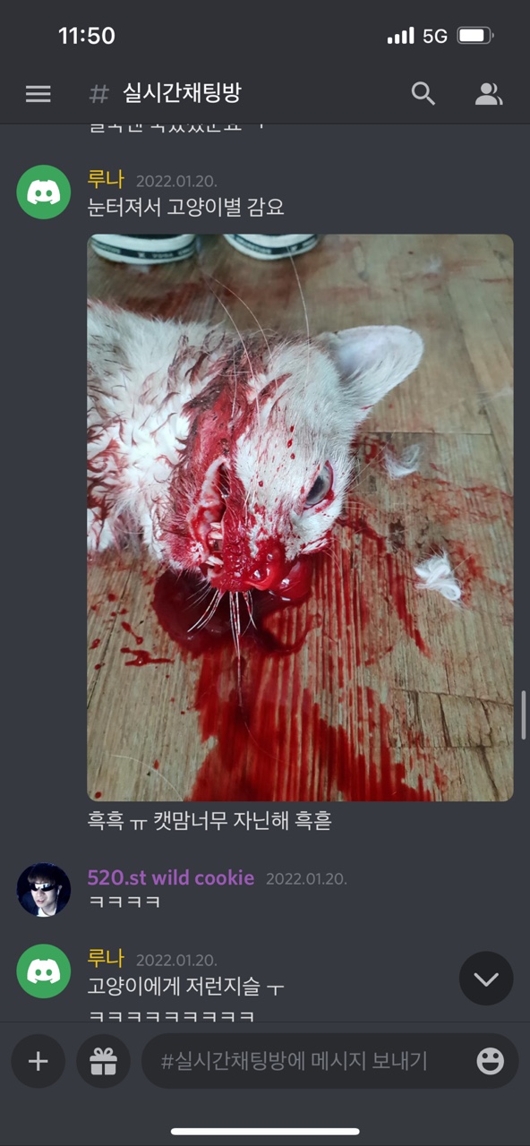 내용에 썼어요
